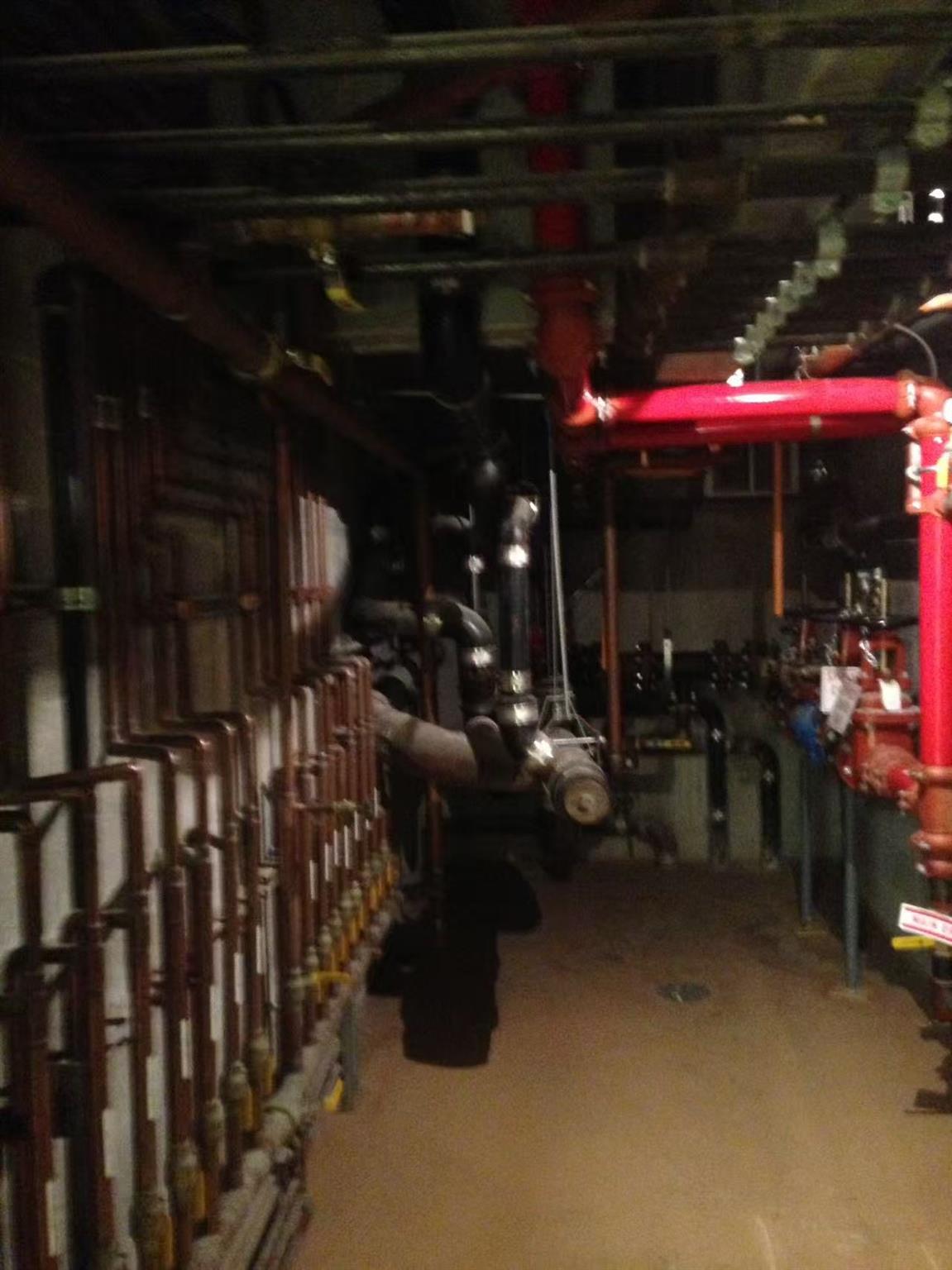 #19 photo, 4207 Kissena Boulevard, クイーンズ区 Flushing , NY 11355