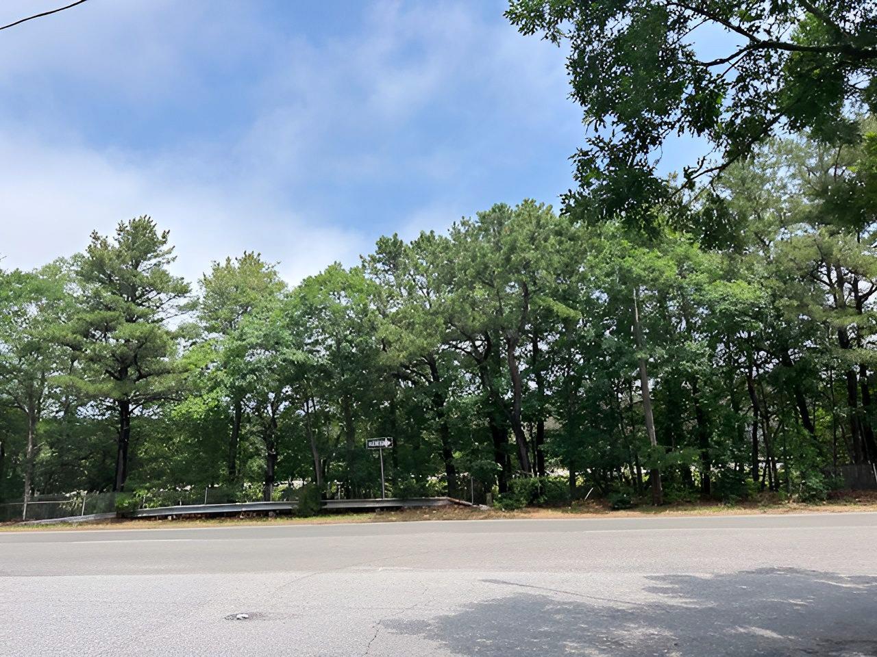 #3 photo, 358 S Service Road, 東長島 Center Moriches , NY 11934