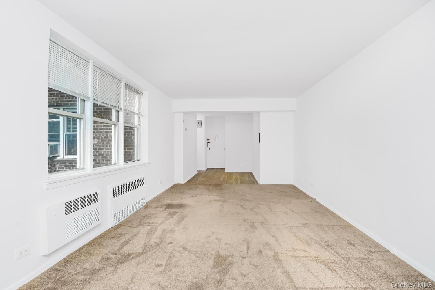 #10 photo, 4295 Webster Avenue, ブロンクス区 Bronx , NY 10470