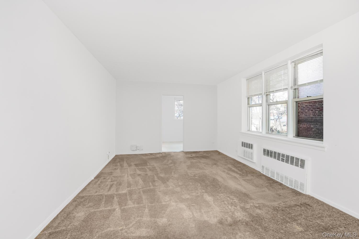 #11 photo, 4295 Webster Avenue, ブロンクス区 Bronx , NY 10470