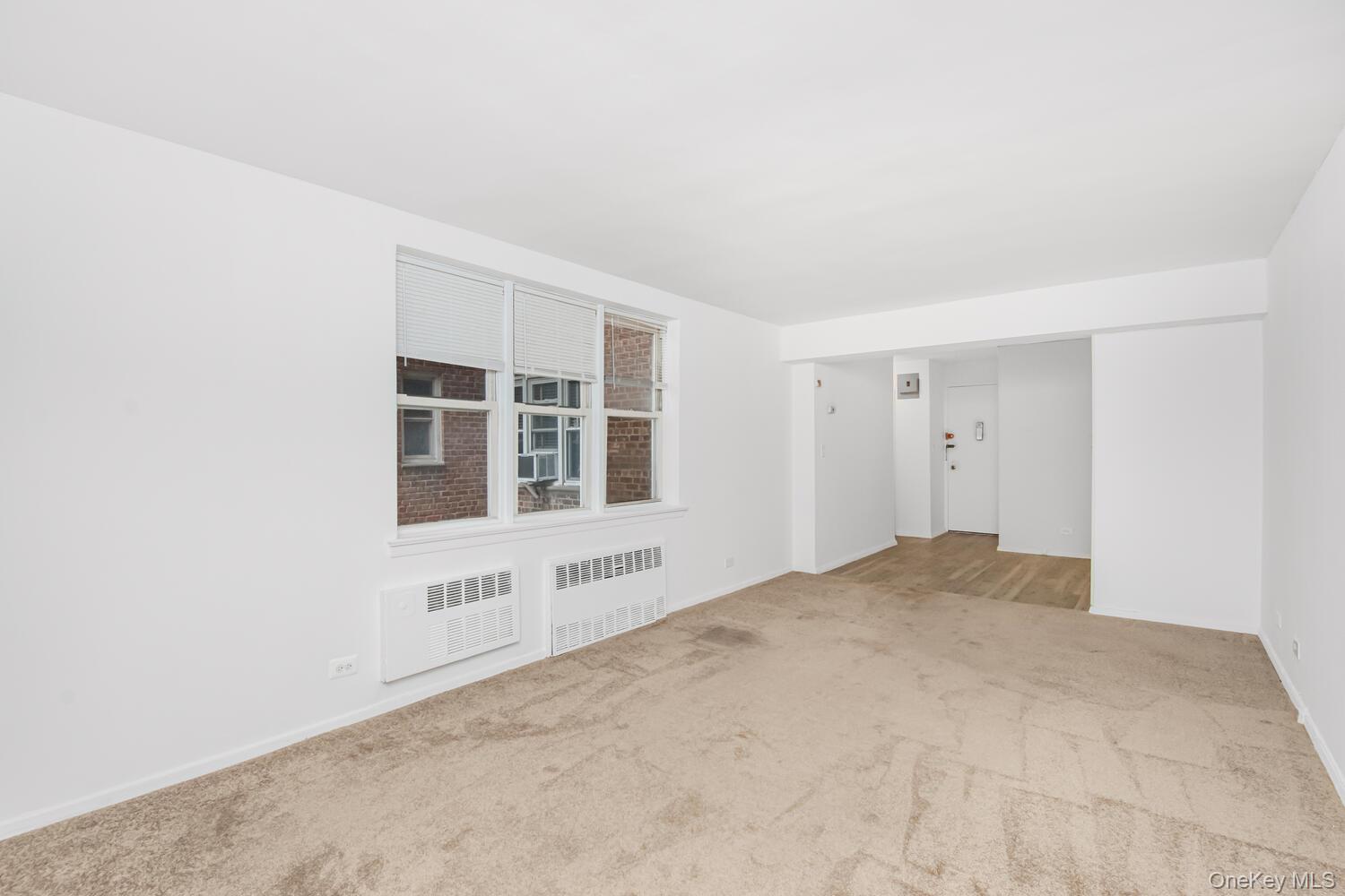 #9 photo, 4295 Webster Avenue, ブロンクス区 Bronx , NY 10470