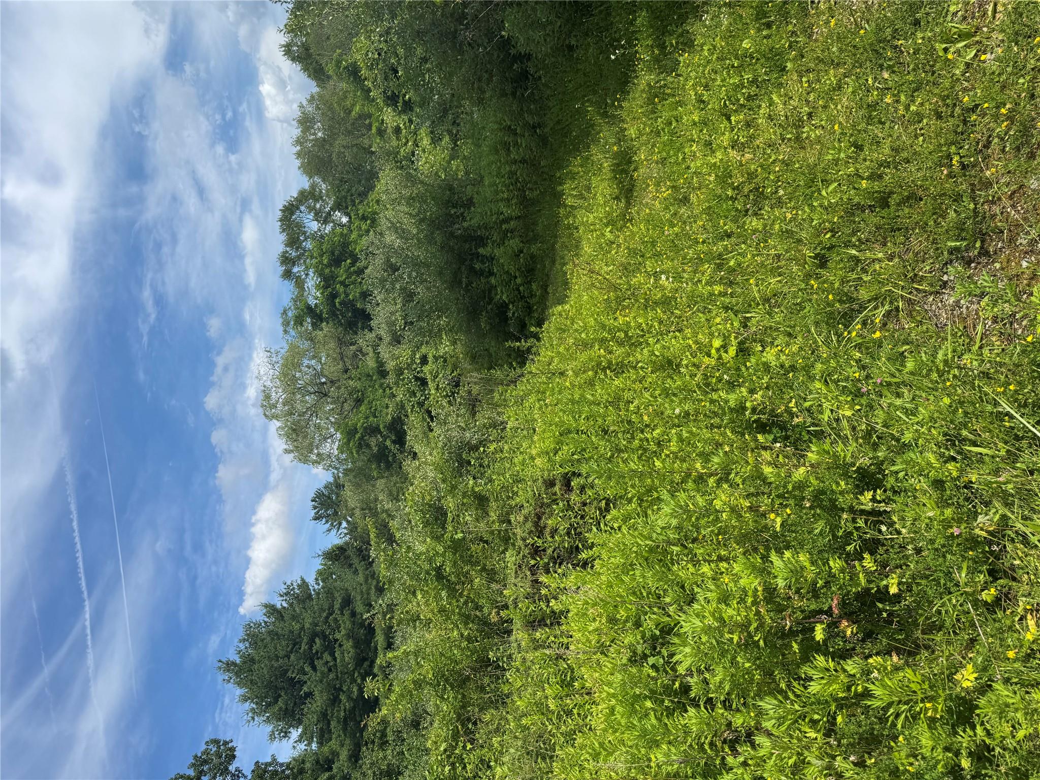 #8 photo, 22 Living Springs Lane, Putnam Valley , NY 10579