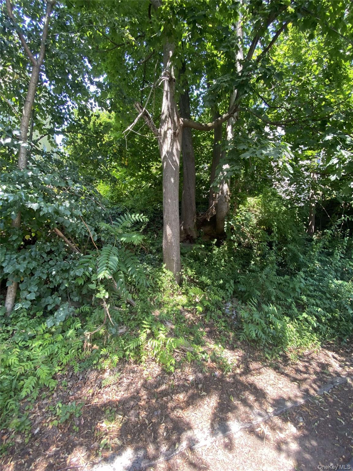 #5 photo, 422 Nuber Avenue, Mount Vernon , NY 10553