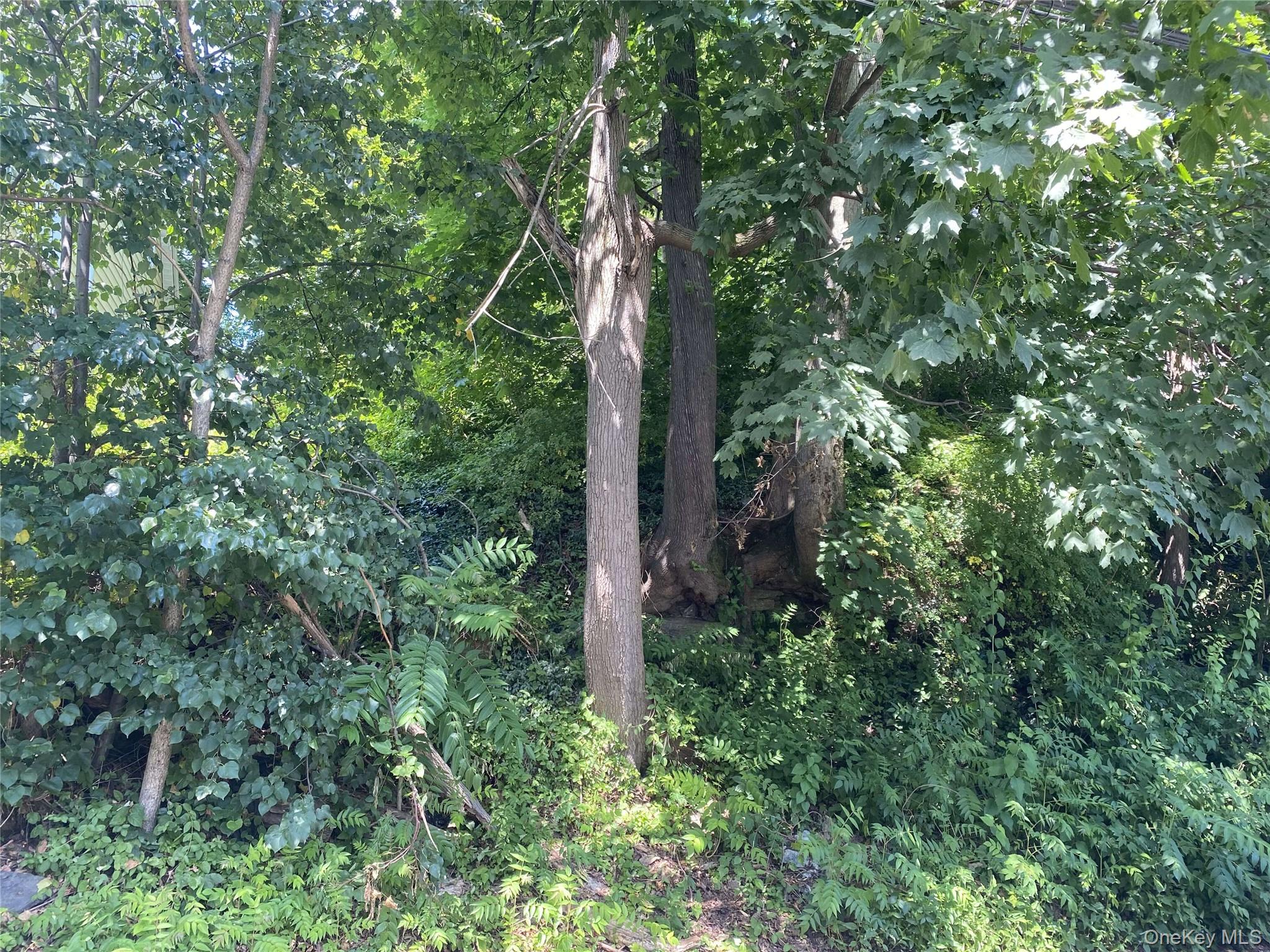 #6 photo, 422 Nuber Avenue, Mount Vernon , NY 10553