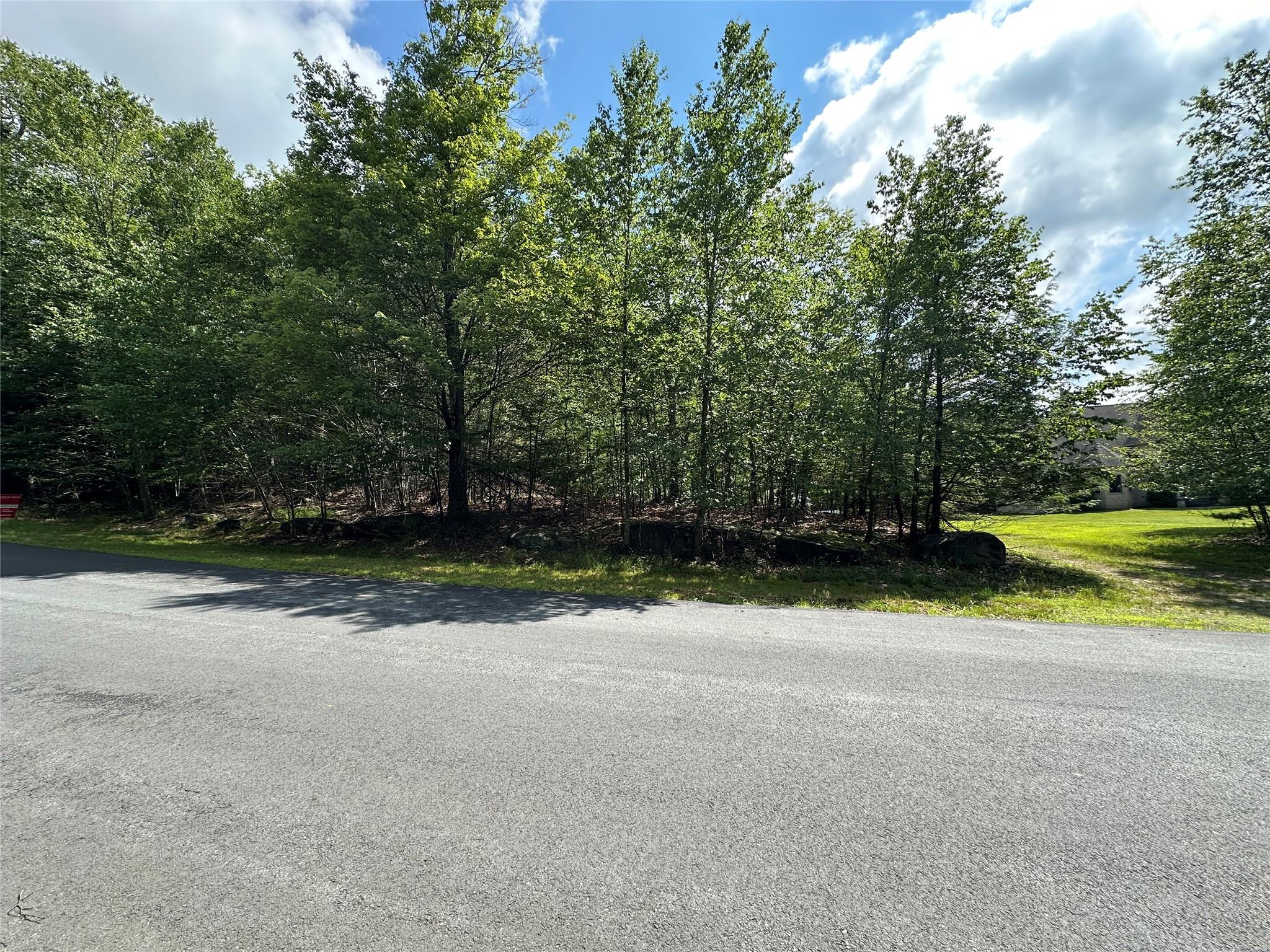 #1 photo, Rt-17B, Mongaup Valley , NY 12720