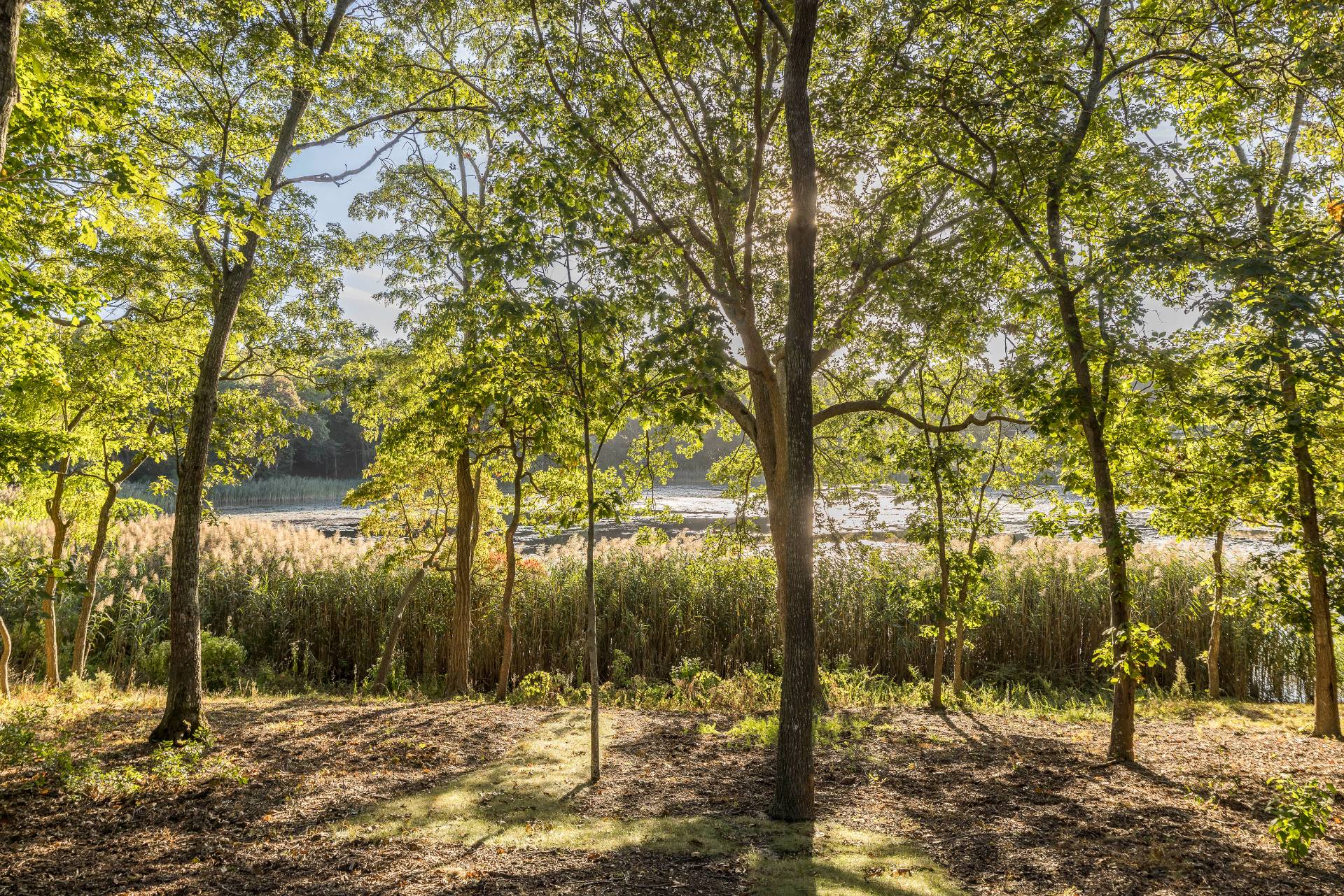 #30 photo, 73 Laurel Lane, サフォーク郡 Sag Harbor , NY 11963