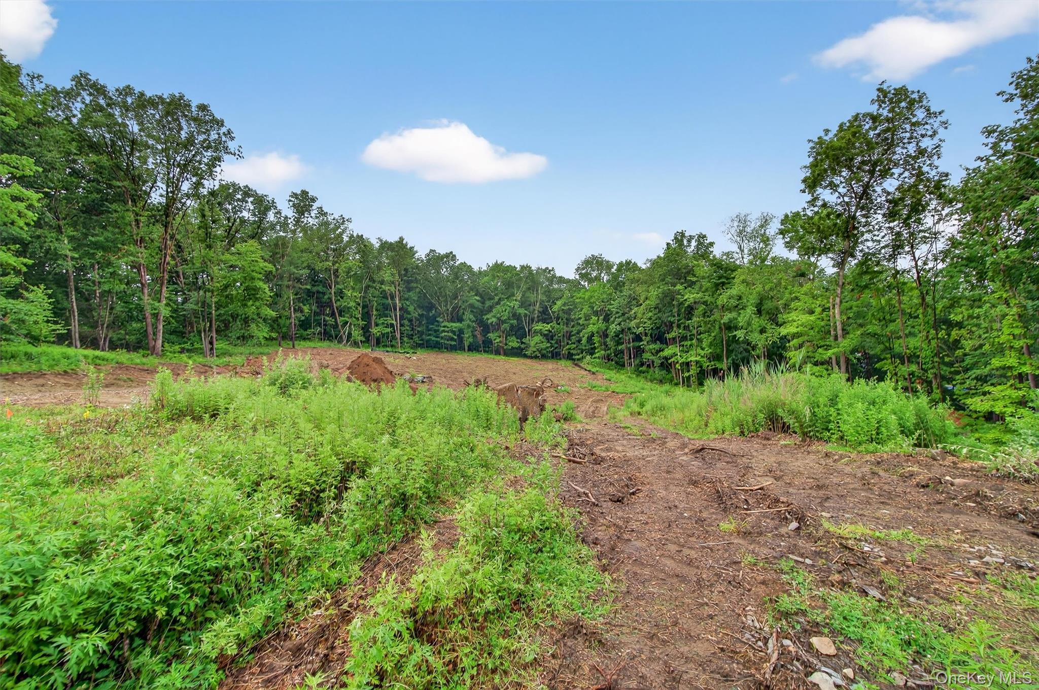 #6 photo, 31 Tea House Lane, Brewster , NY 10509