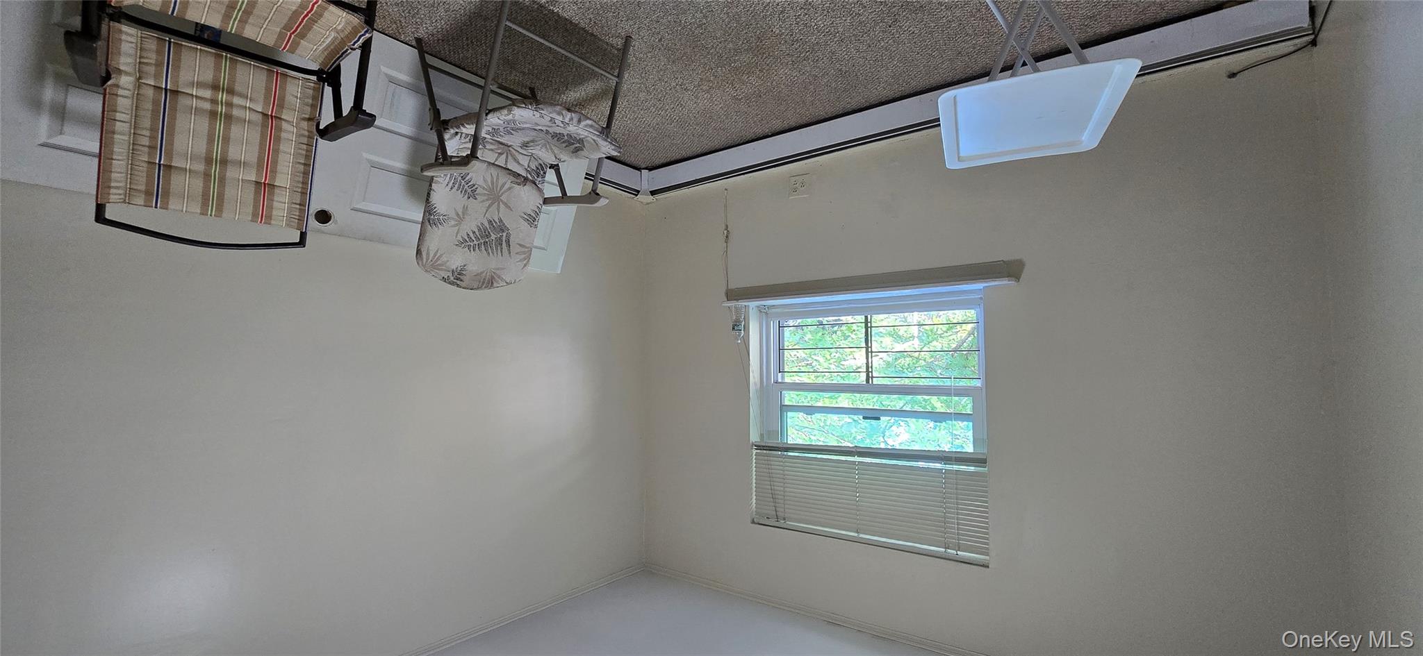 #11 photo, 3001 Olinville Avenue, ブロンクス区 Bronx , NY 10467