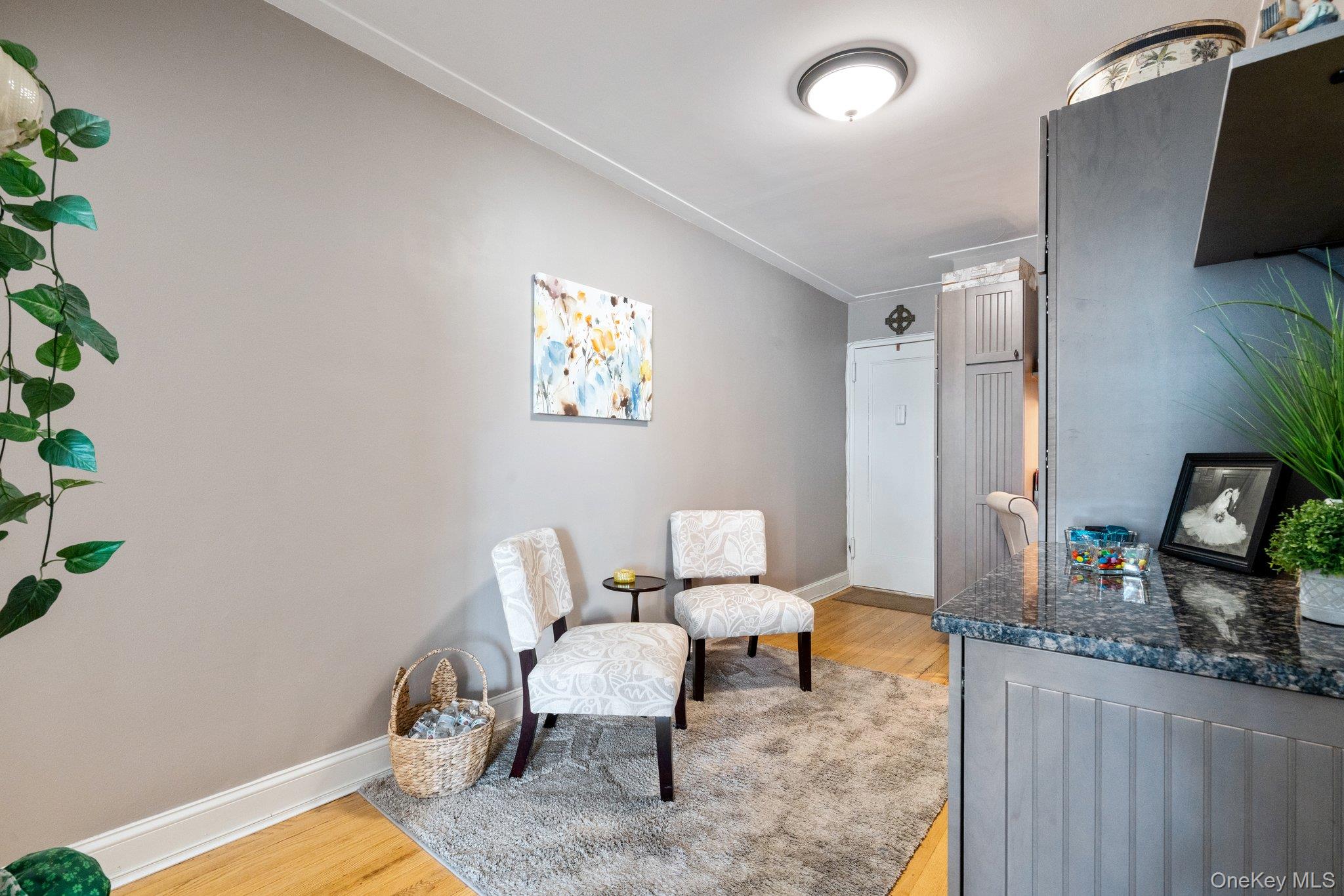 #10 photo, 102 S Village Avenue, Rockville Centre , NY 11570