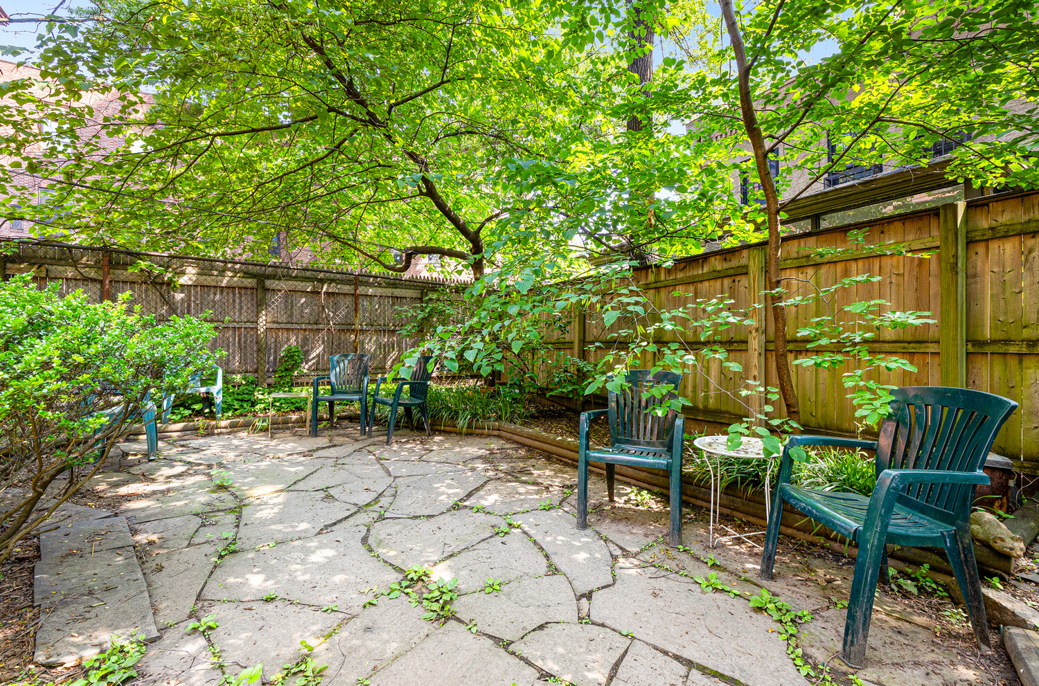 #16 photo, 269 CLINTON Avenue, ブルックリン区 Clinton Hill , NY 11205