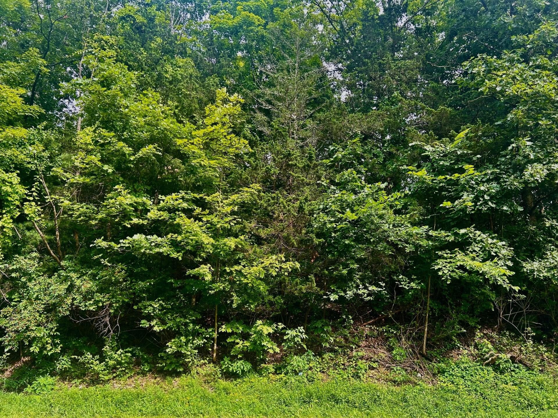 #1 photo, 980 N Quaker Lane, 紐約州 Hyde Park , NY 12580