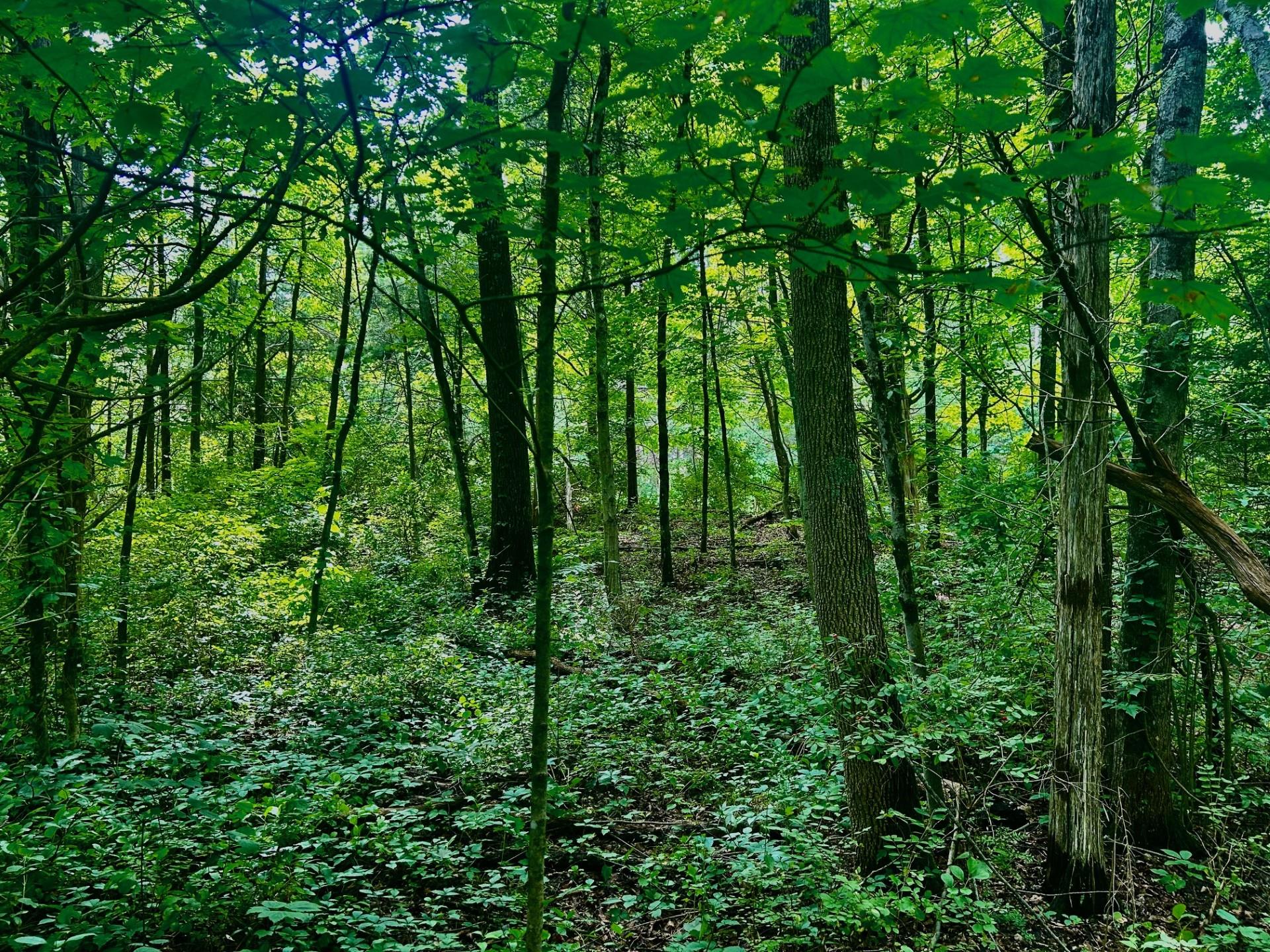 #5 photo, 980 N Quaker Lane, Hyde Park , NY 12580