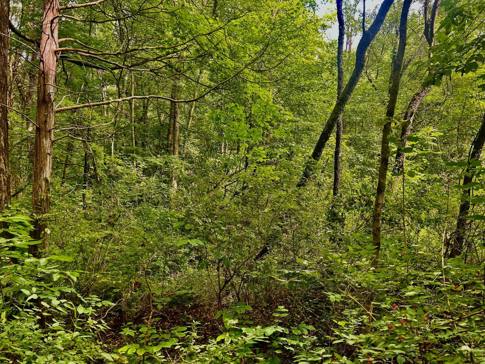 #6 photo, 980 N Quaker Lane, Hyde Park , NY 12580