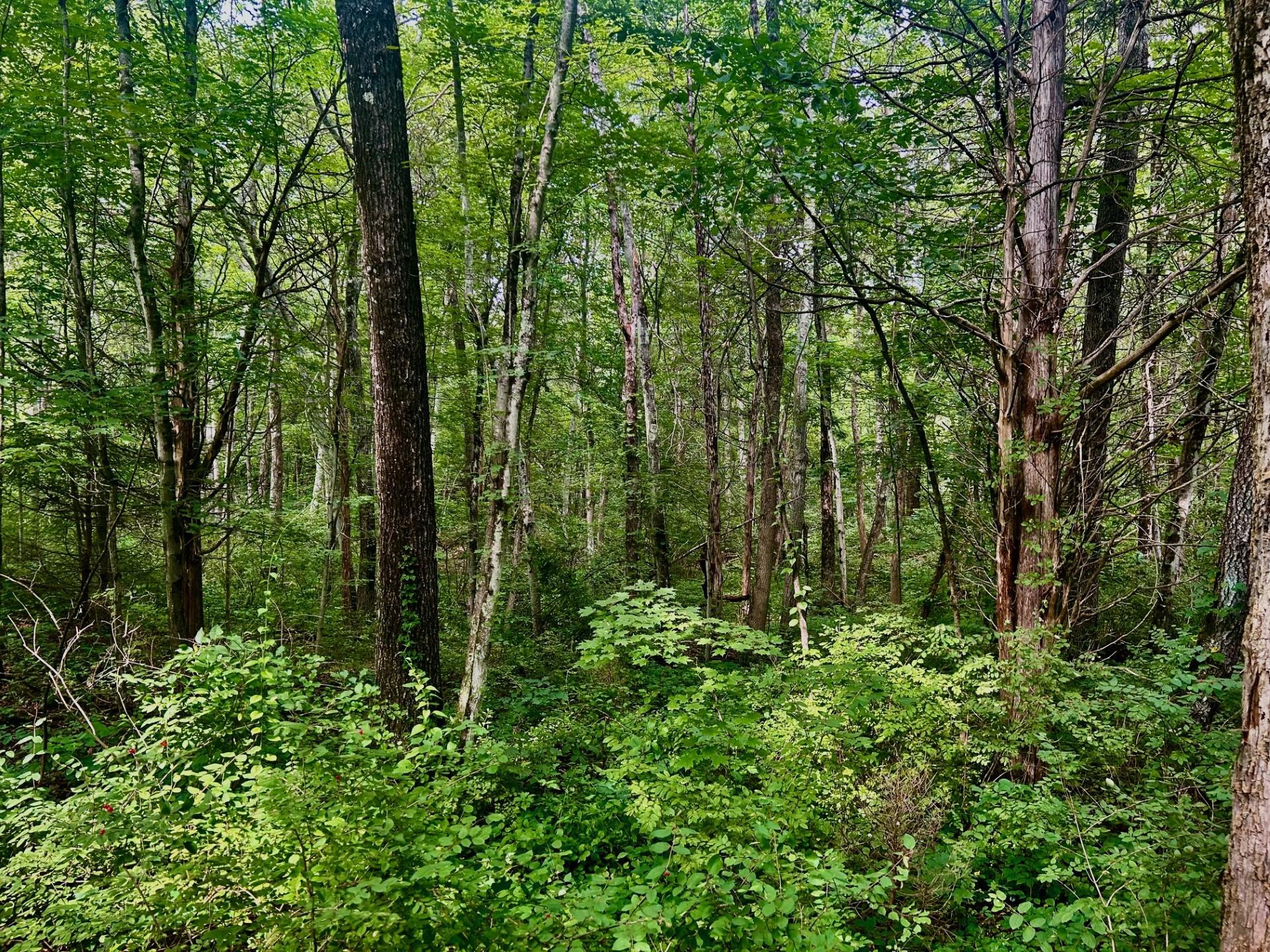 #7 photo, 980 N Quaker Lane, Hyde Park , NY 12580