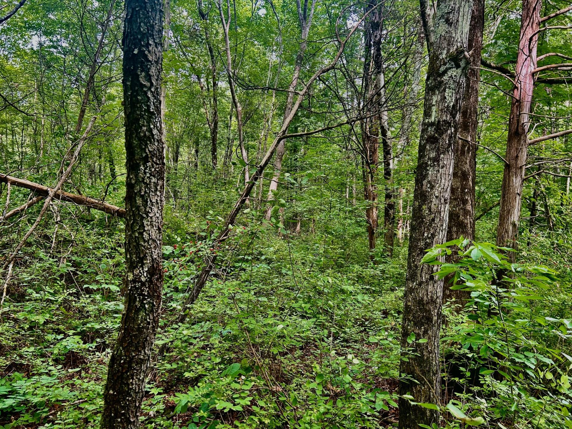 #8 photo, 980 N Quaker Lane, Hyde Park , NY 12580