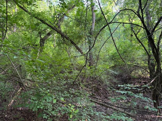 #1 photo, Manor Drive, Lagrangeville , NY 