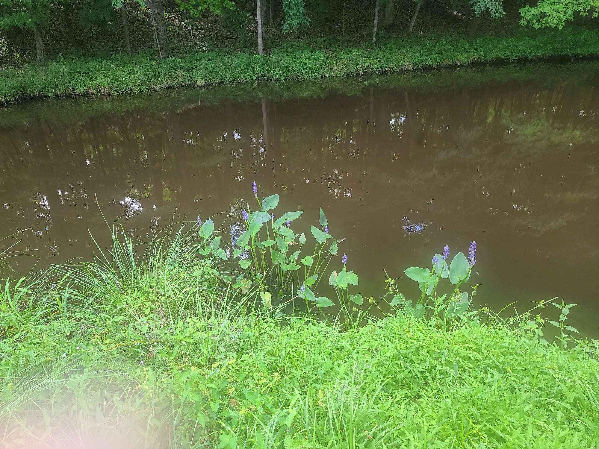 #3 photo, 49 Old Farm Road, Rhinebeck , NY 12572