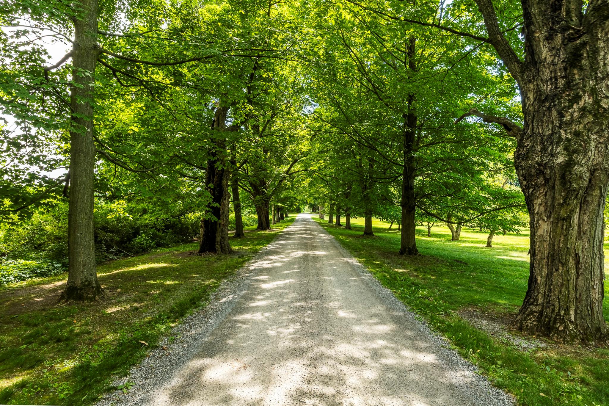 #3 photo, 199 Eichybush Road, Kinderhook , NY 12106