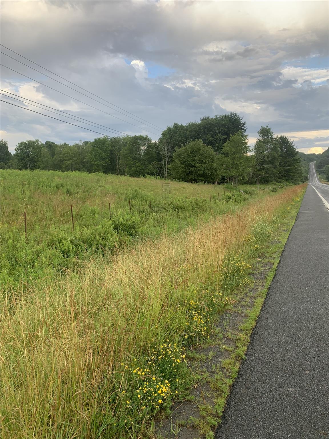 #16 photo, 3 Burr Road, Cochecton , NY 12726