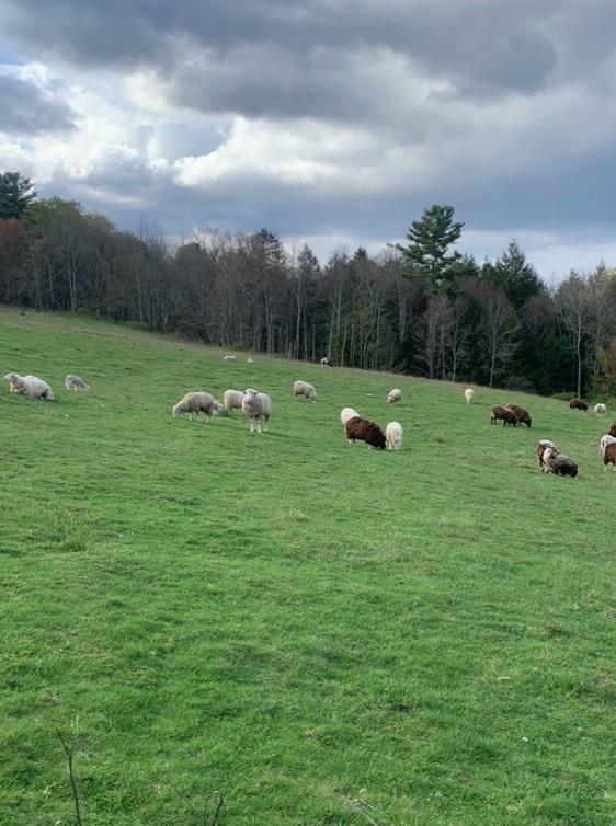 #4 photo, 3 Burr Road, Cochecton , NY 12726