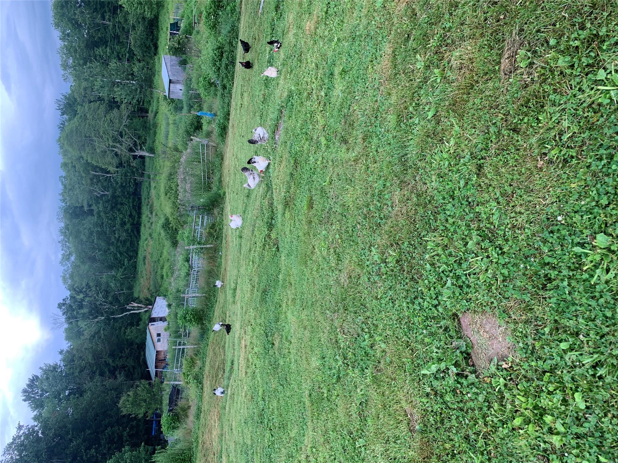 #5 photo, 3 Burr Road, Cochecton , NY 12726