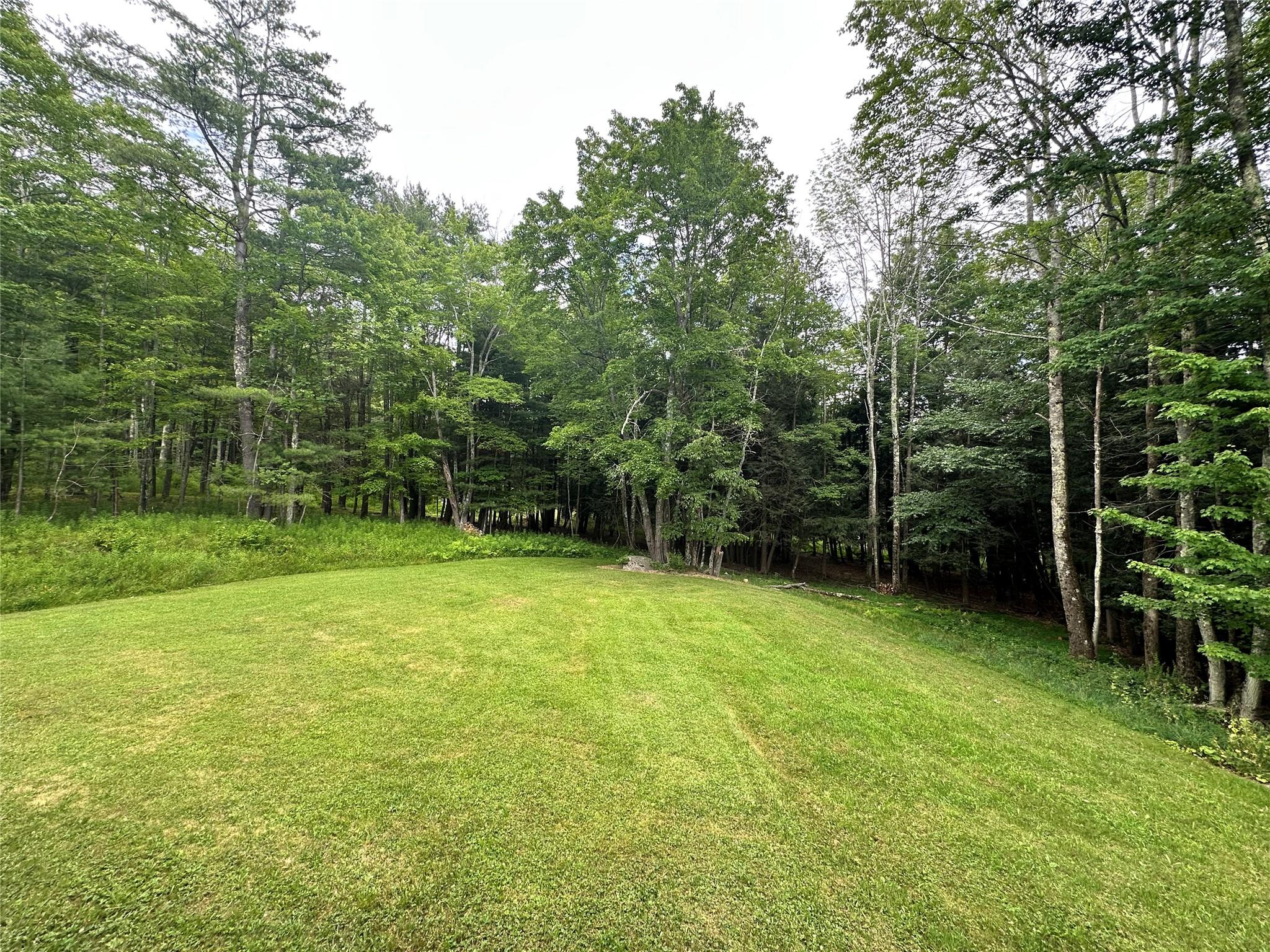 #6 photo, 278 Route 13, Prattsville , NY 12468