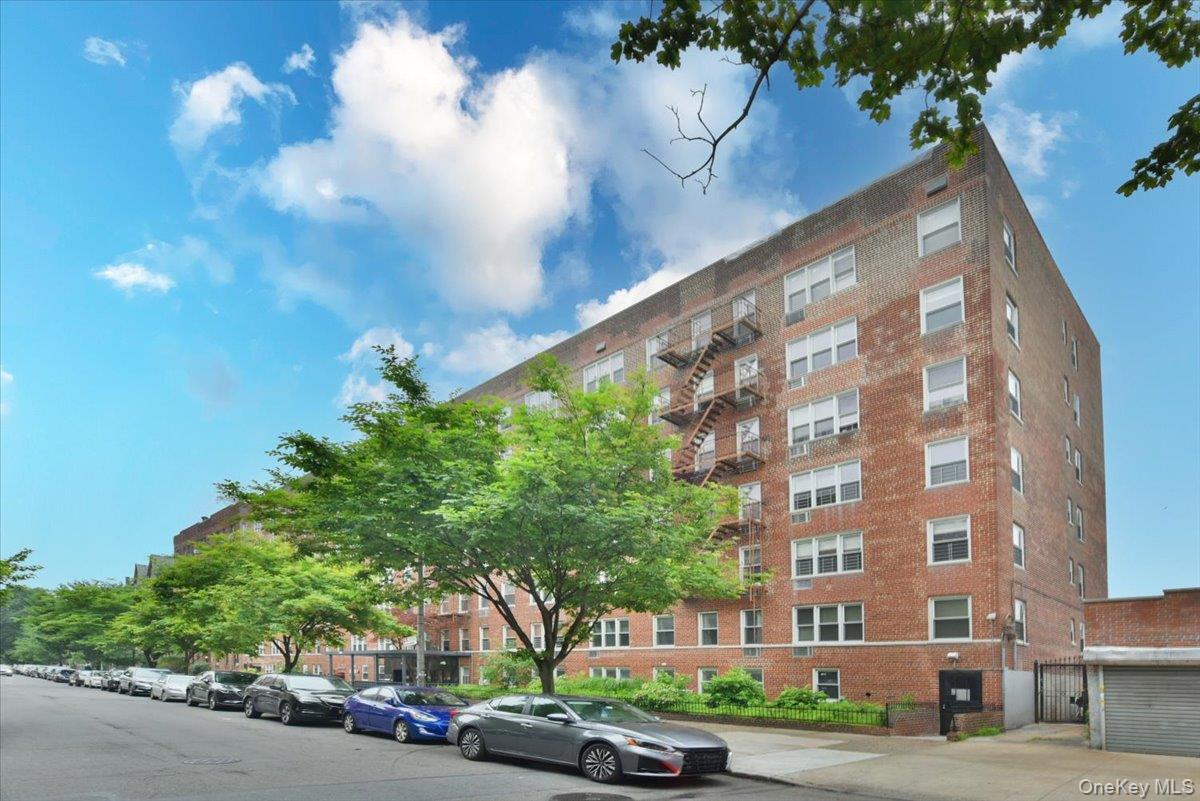 #7 photo, 400 E 17th Street, ブルックリン区 Brooklyn , NY 11226