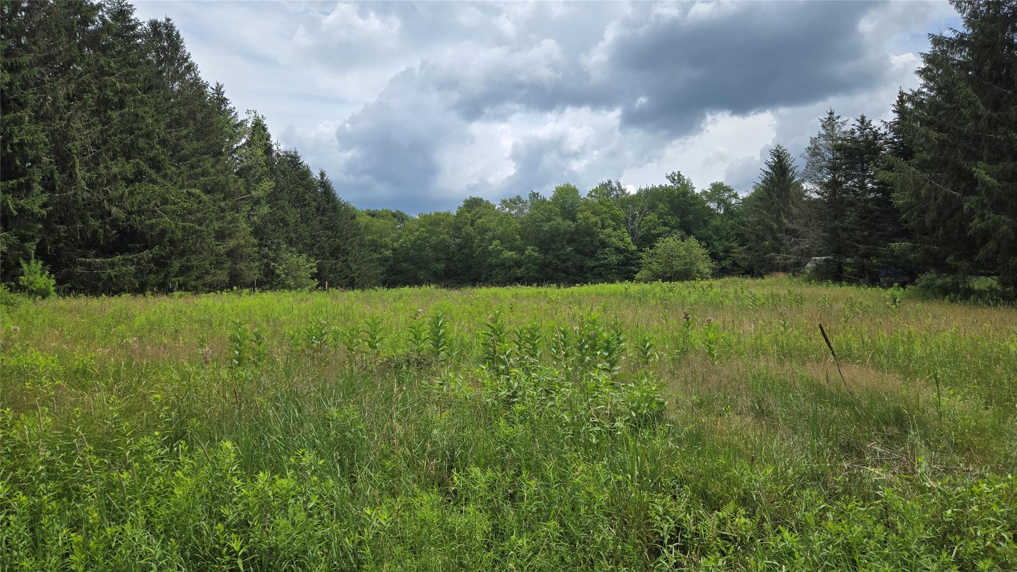 #1 photo, Old White Lake Turnpike, 紐約州 Bethel , NY 12720