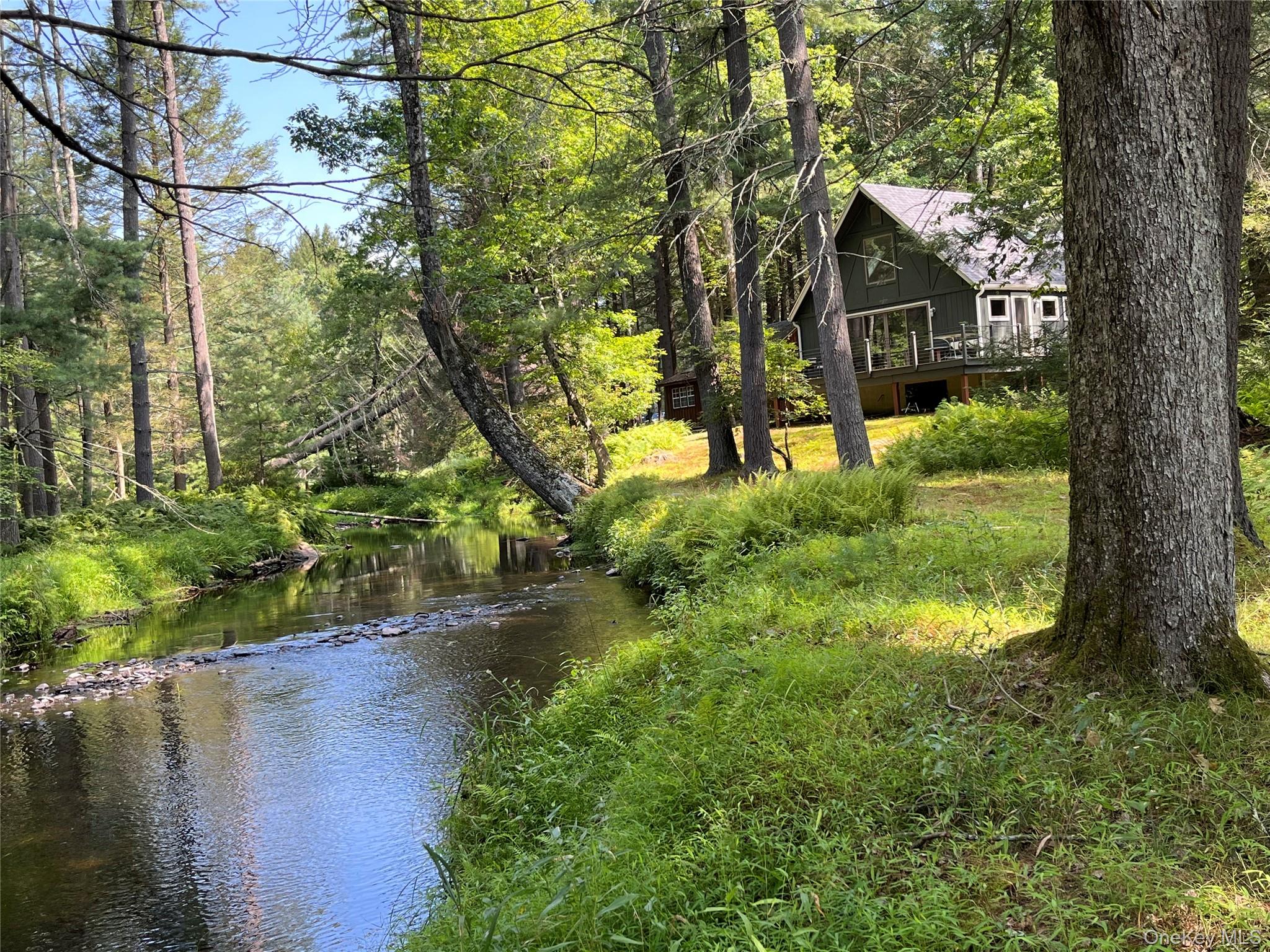 #1 photo, 30 Park Road Extension, Eldred , NY 12792