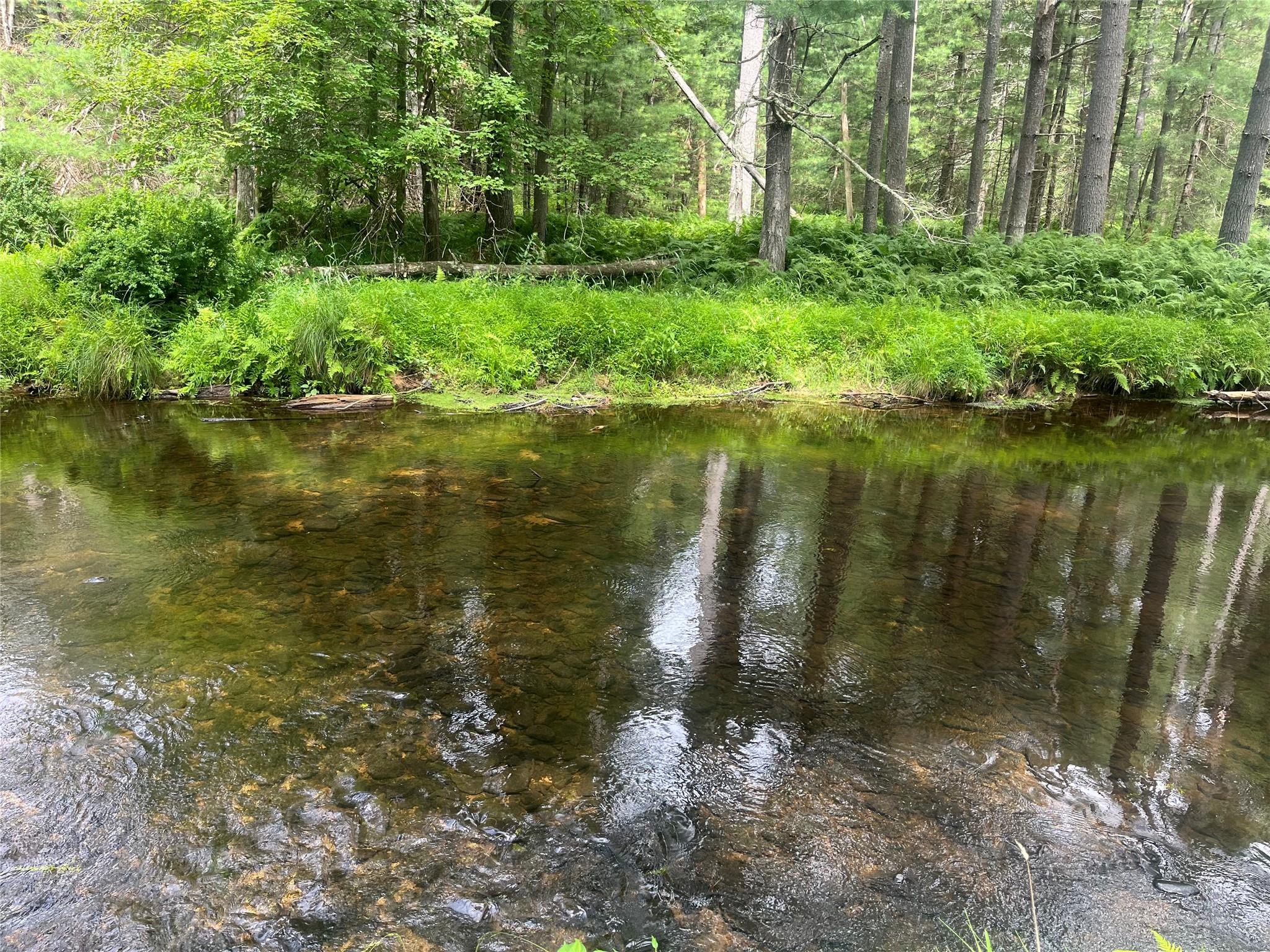 #1 photo, 27 Woods Road, 紐約州 Yulan , NY 12792