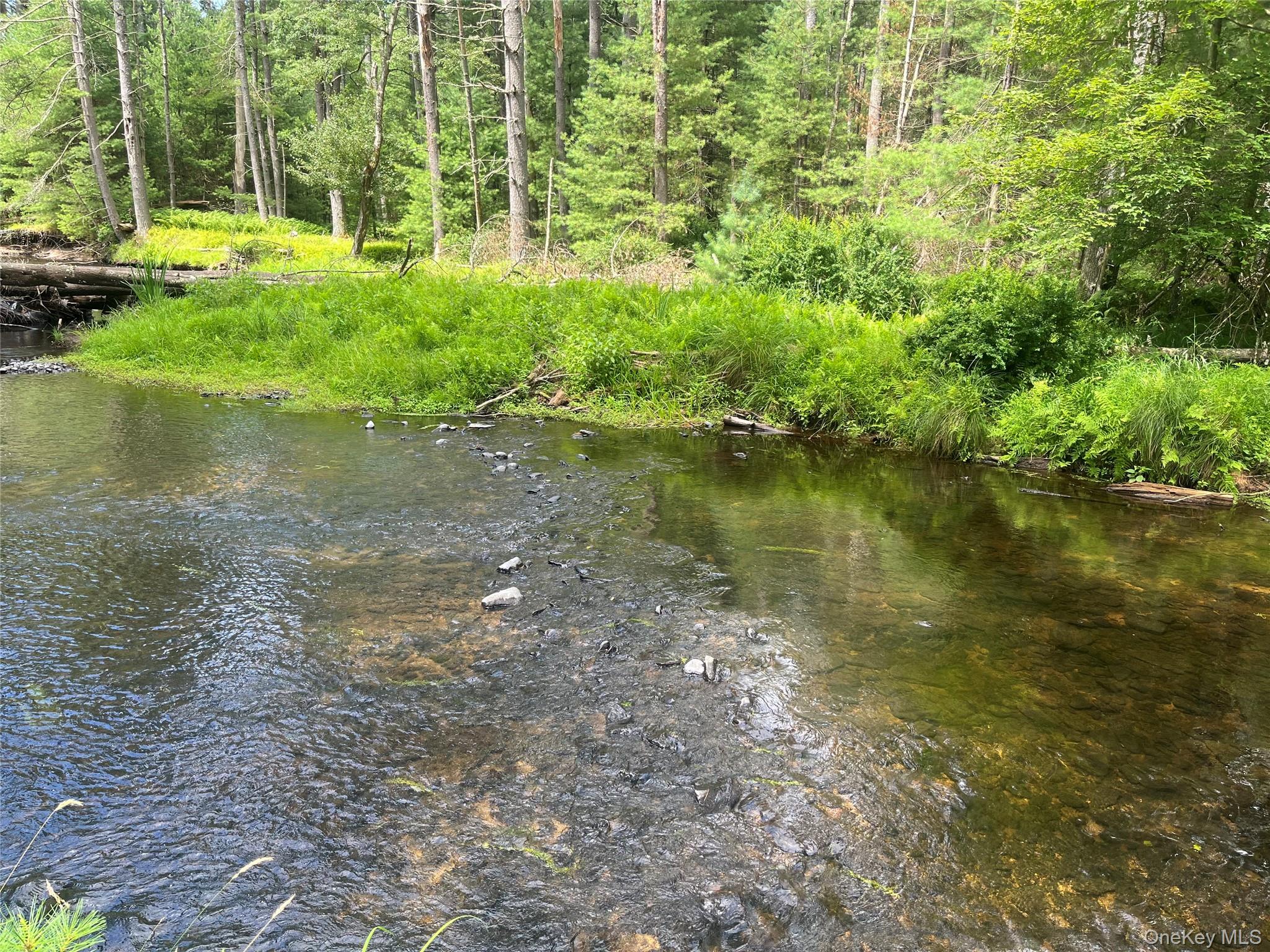 #2 photo, 27 Woods Road, Yulan , NY 12792