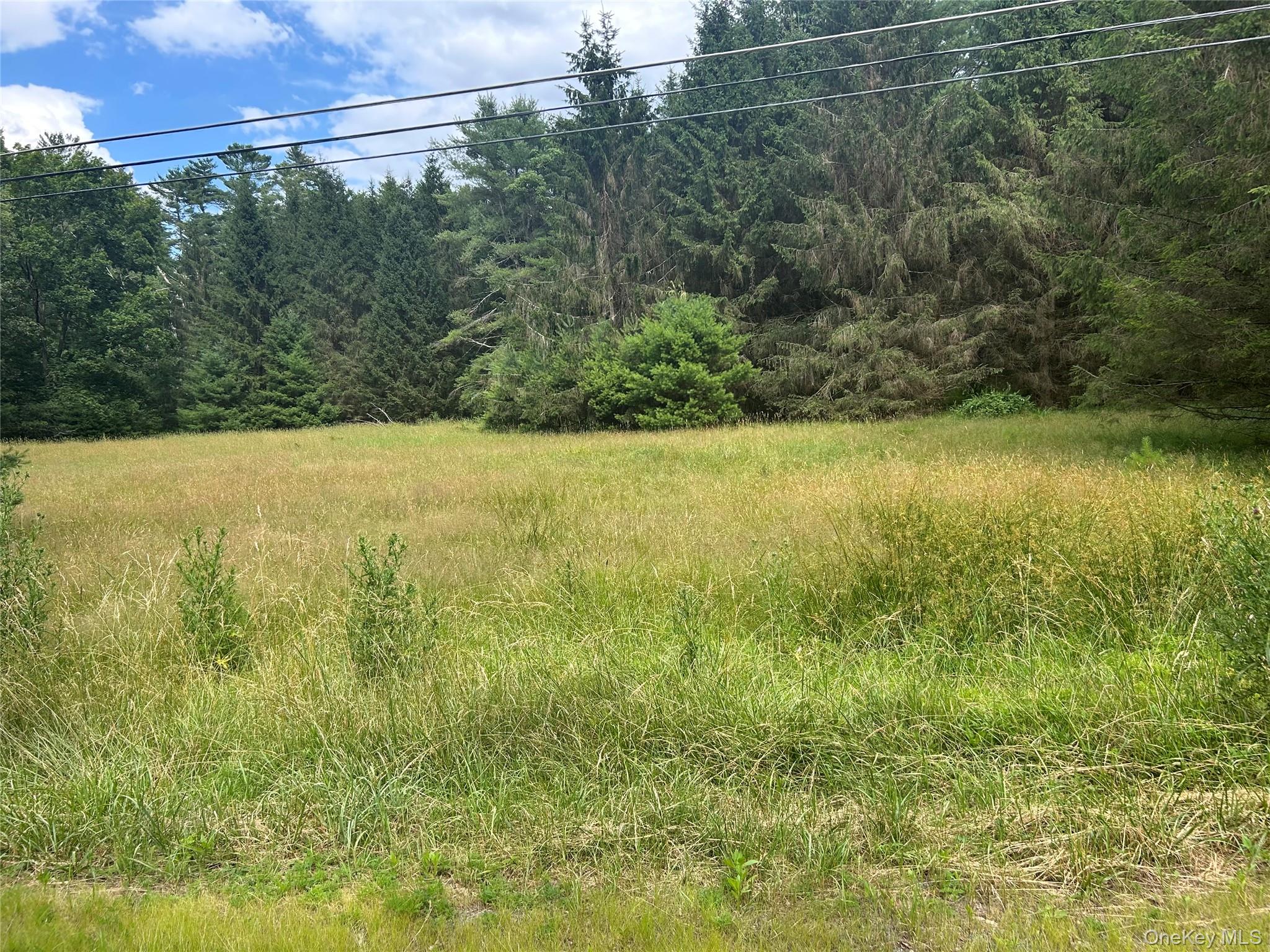 #3 photo, 27 Woods Road, Yulan , NY 12792