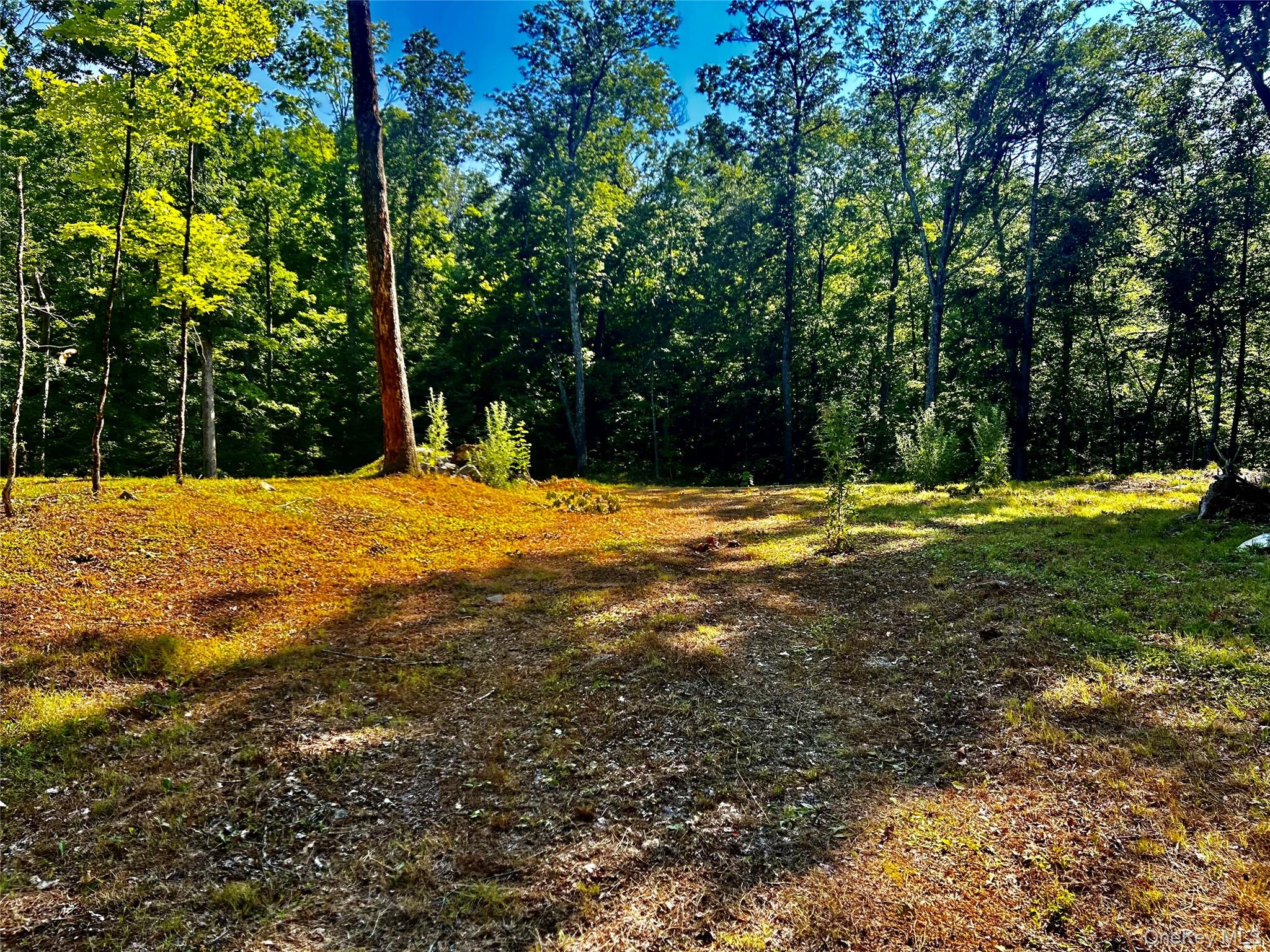 #1 photo, 80 Forever Ivy Lane, Hyde Park , NY 12538