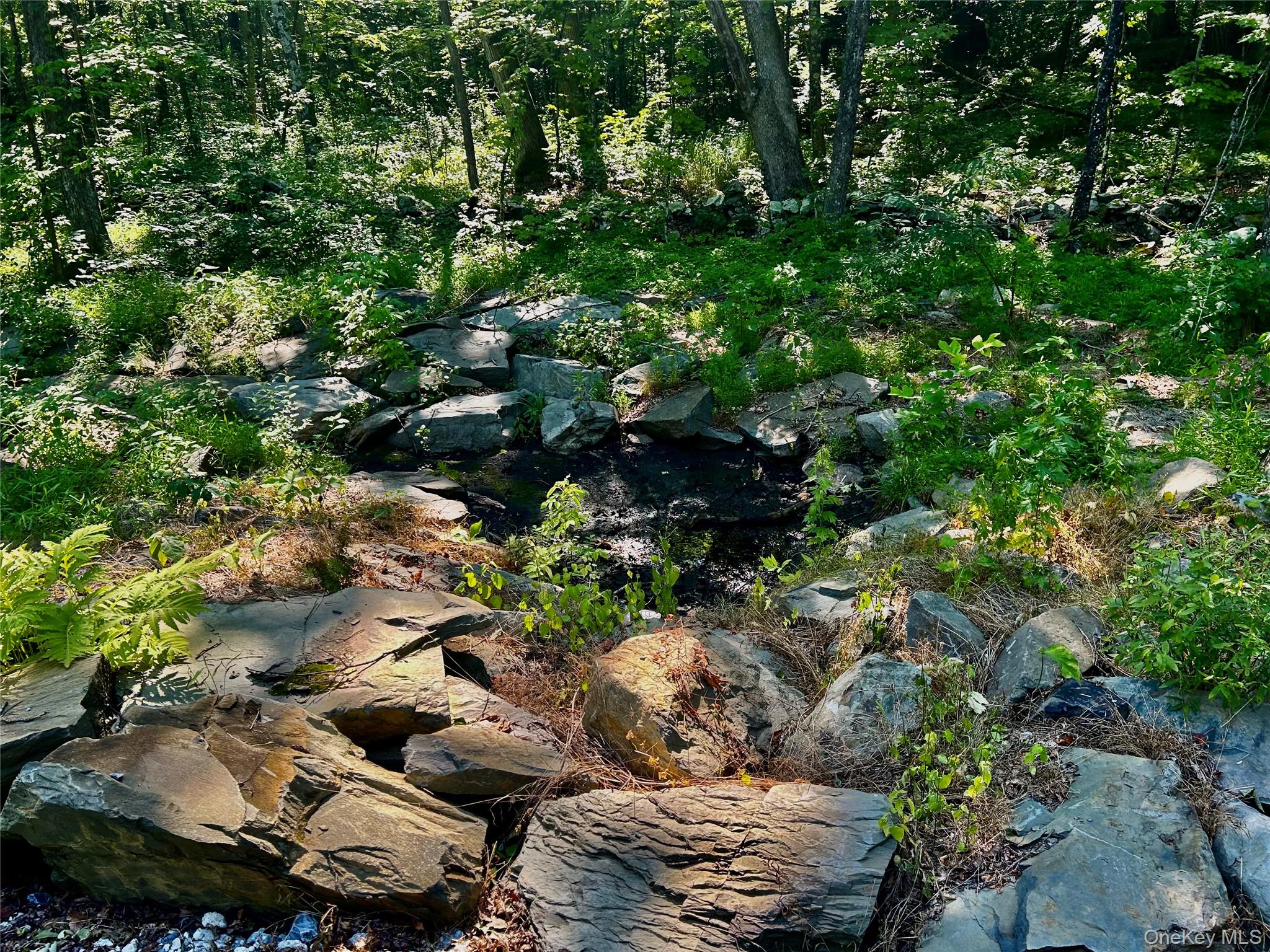 #10 photo, 80 Forever Ivy Lane, Hyde Park , NY 12538