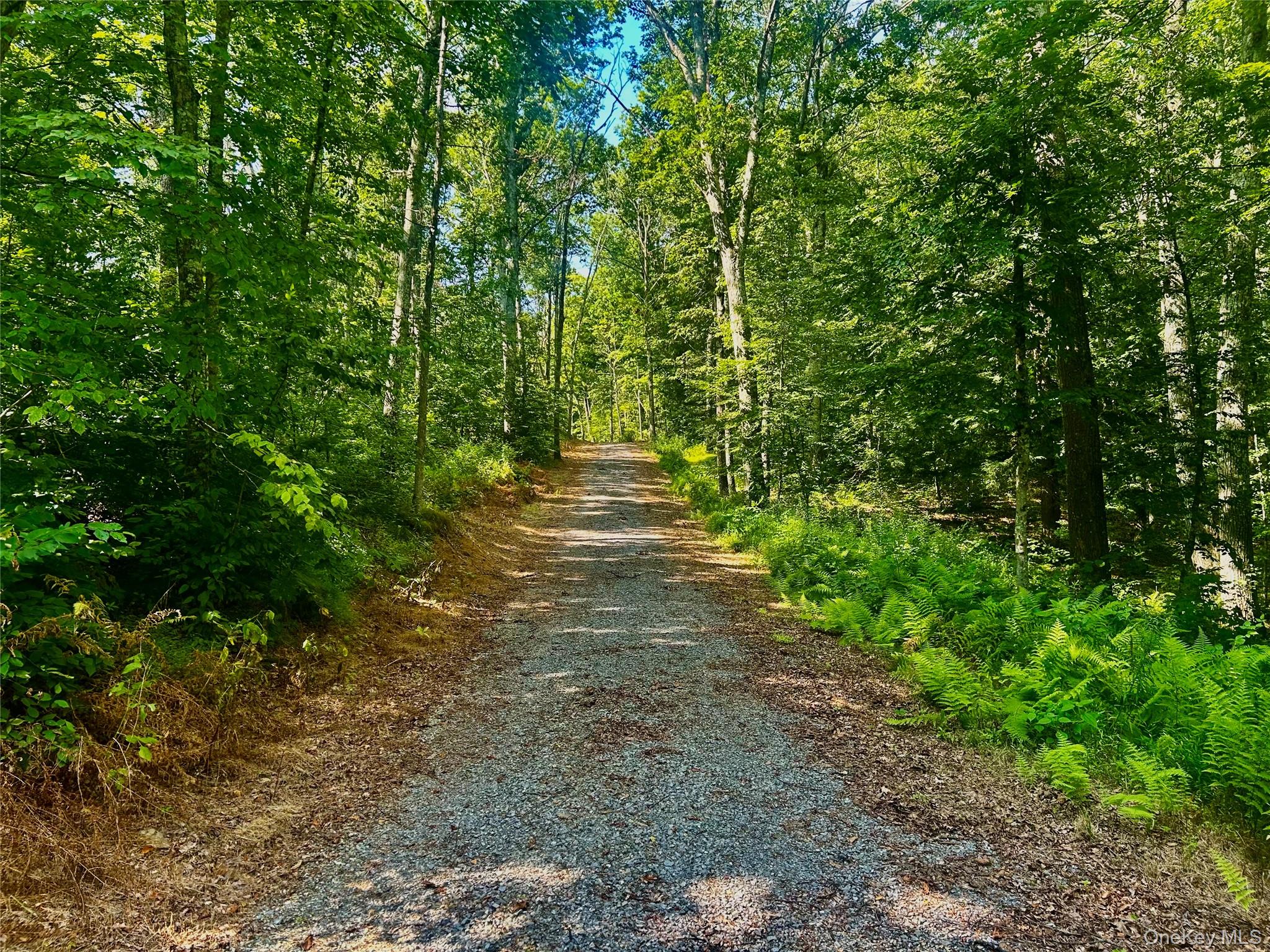 #16 photo, 80 Forever Ivy Lane, Hyde Park , NY 12538