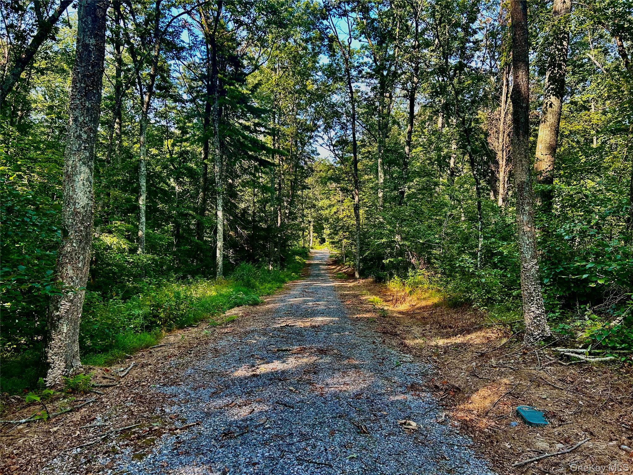 #17 photo, 80 Forever Ivy Lane, Hyde Park , NY 12538