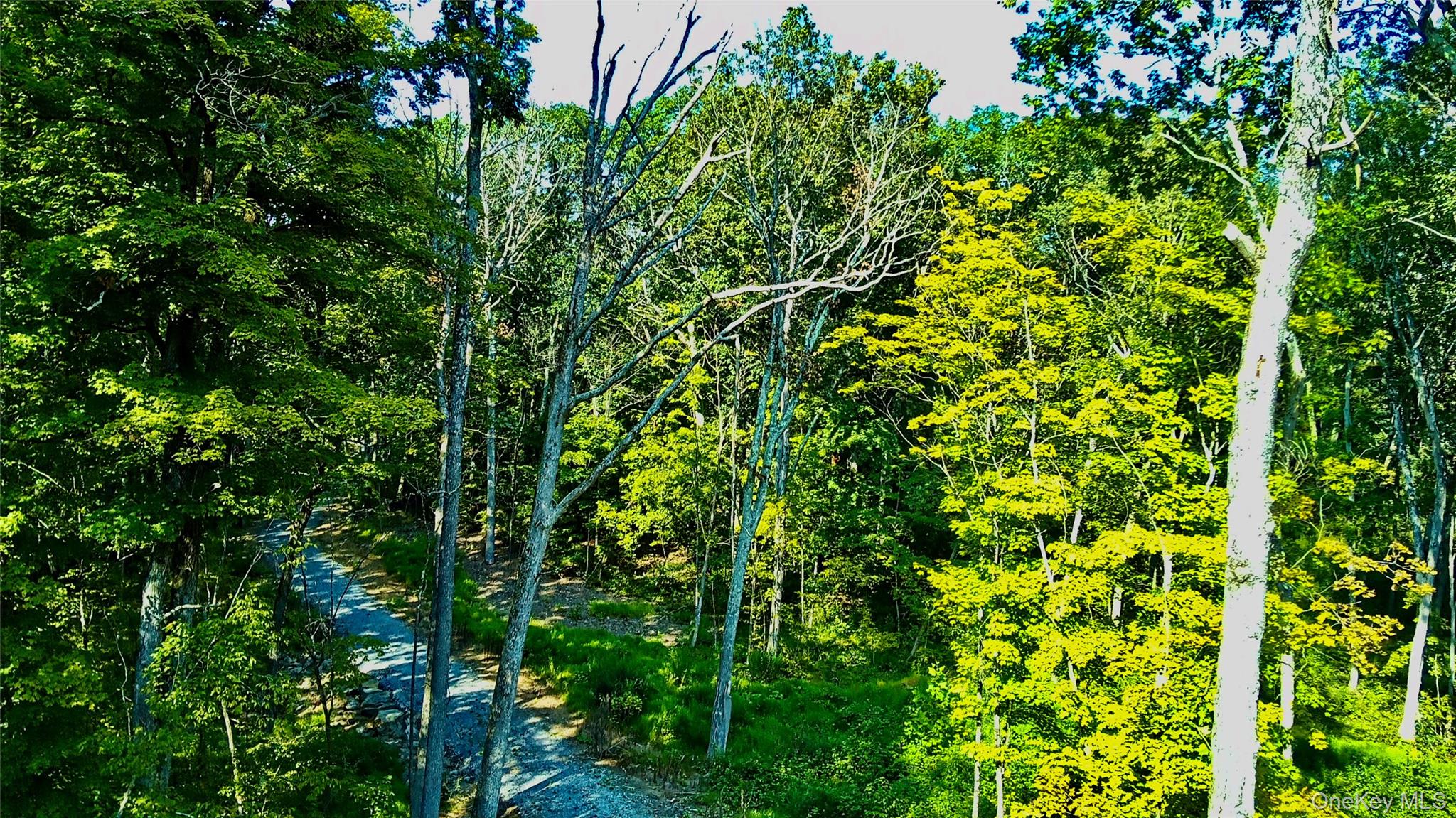 #18 photo, 80 Forever Ivy Lane, Hyde Park , NY 12538