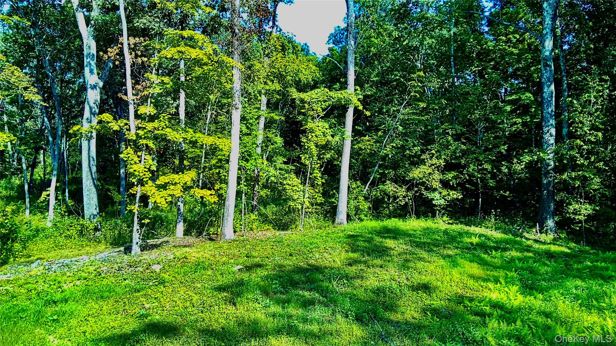 #19 photo, 80 Forever Ivy Lane, Hyde Park , NY 12538