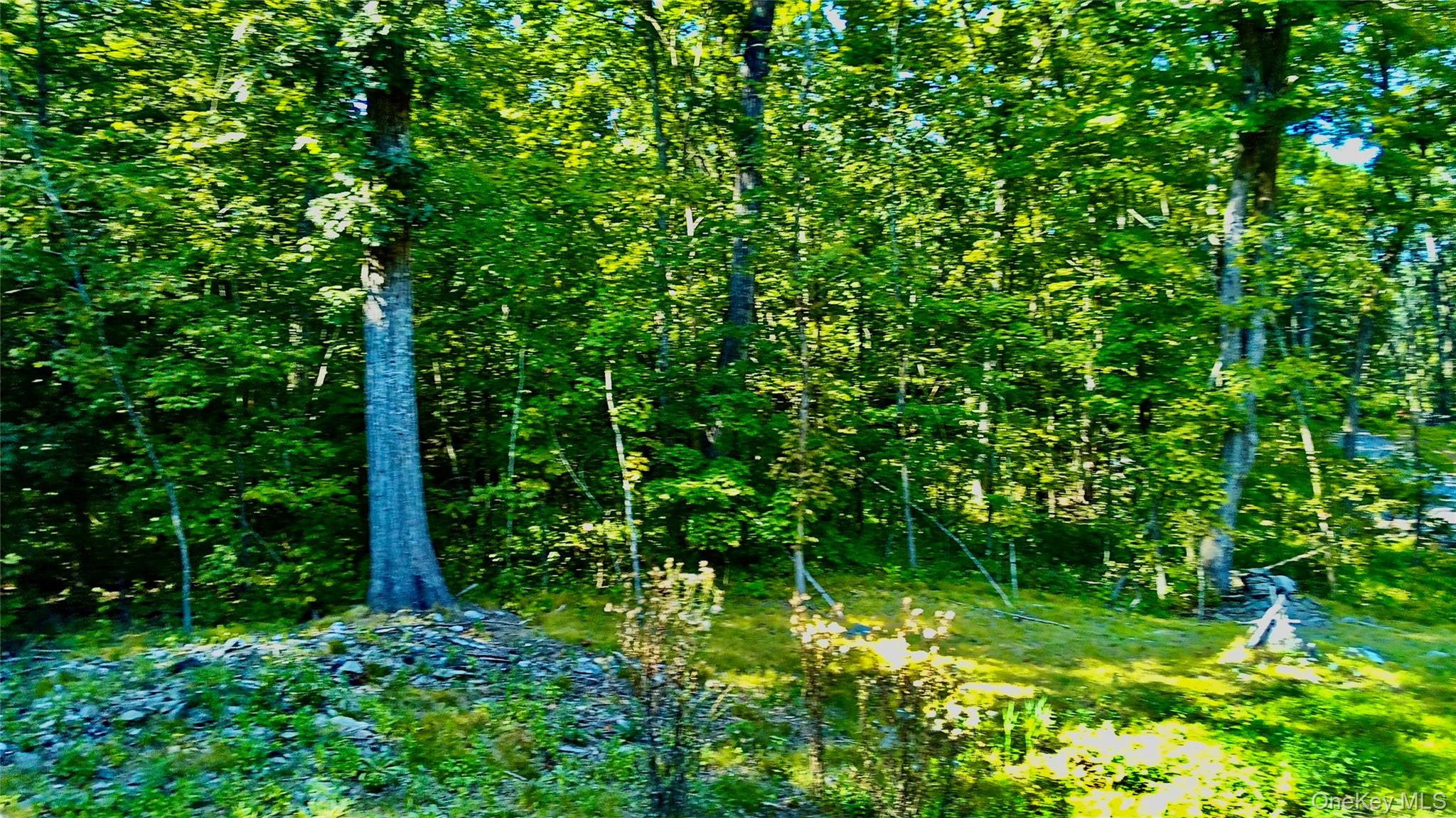 #20 photo, 80 Forever Ivy Lane, Hyde Park , NY 12538