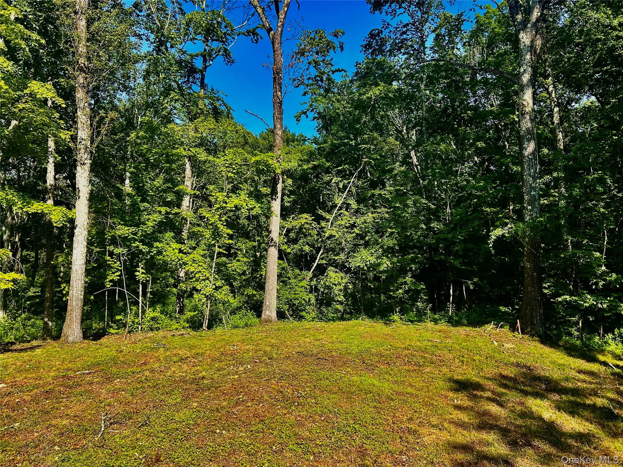 #4 photo, 80 Forever Ivy Lane, Hyde Park , NY 12538