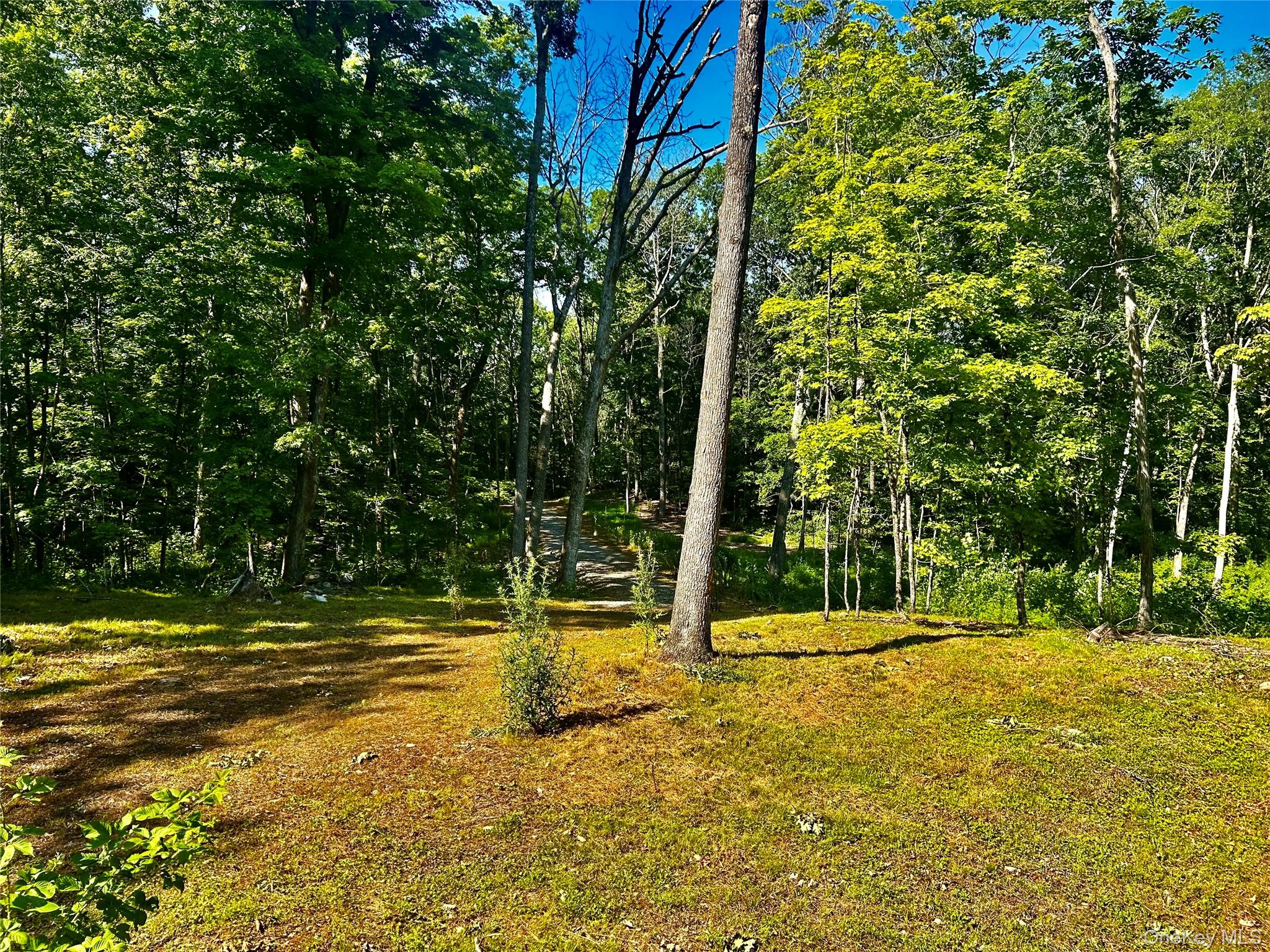 #5 photo, 80 Forever Ivy Lane, Hyde Park , NY 12538