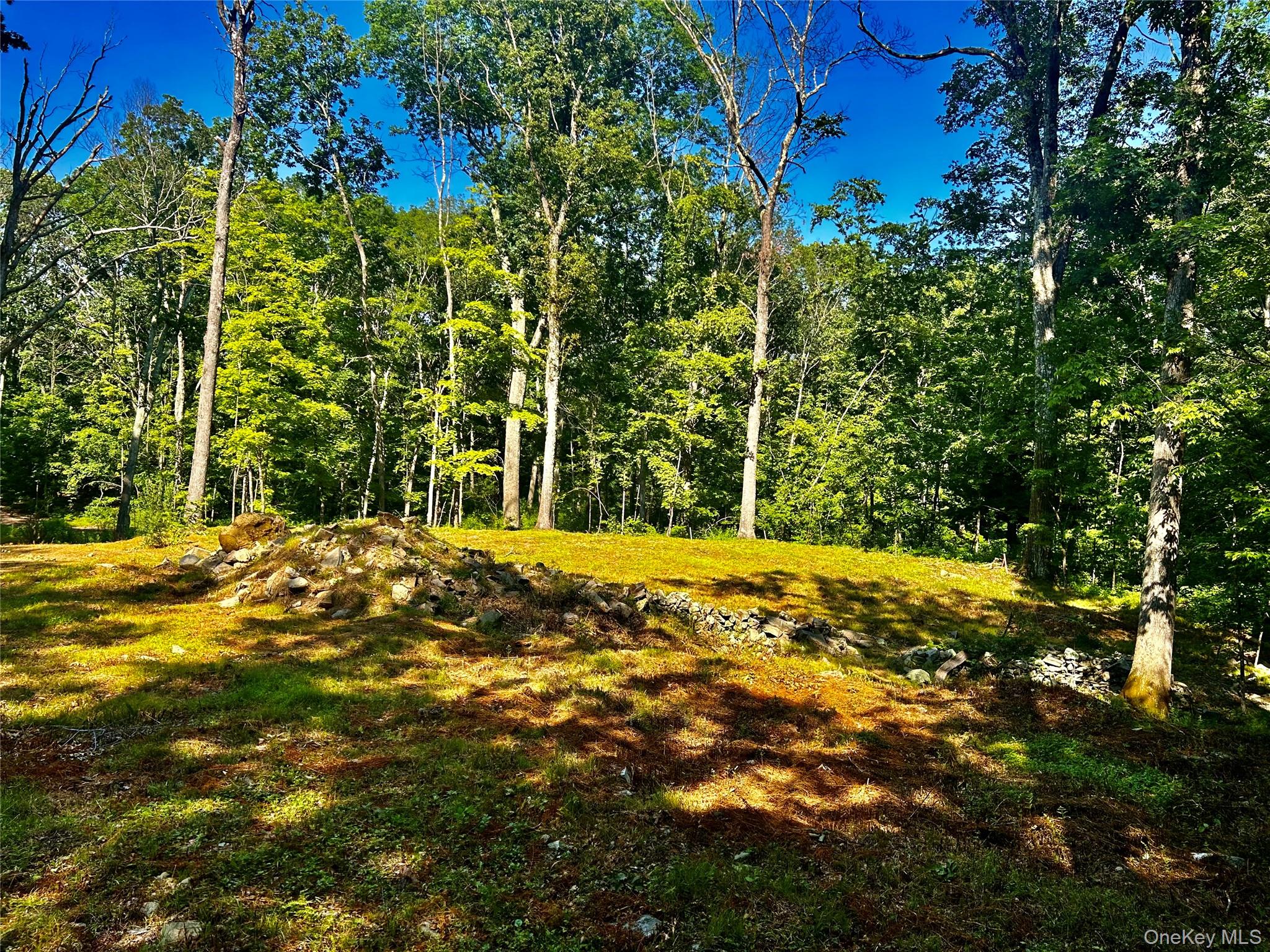 #6 photo, 80 Forever Ivy Lane, Hyde Park , NY 12538