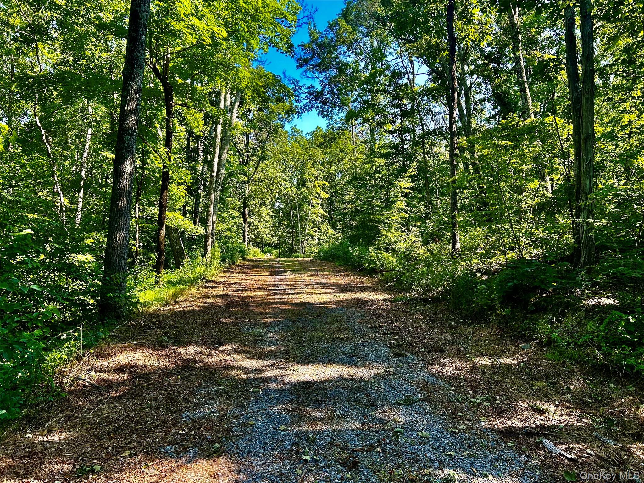 #7 photo, 80 Forever Ivy Lane, Hyde Park , NY 12538