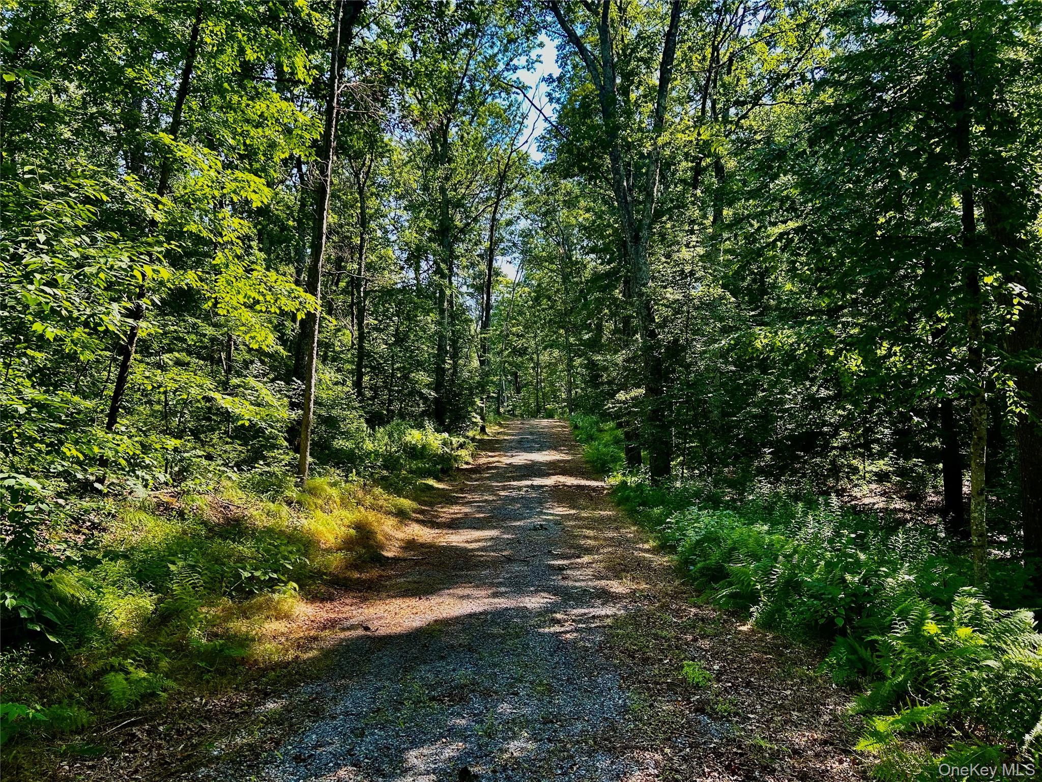 #8 photo, 80 Forever Ivy Lane, Hyde Park , NY 12538