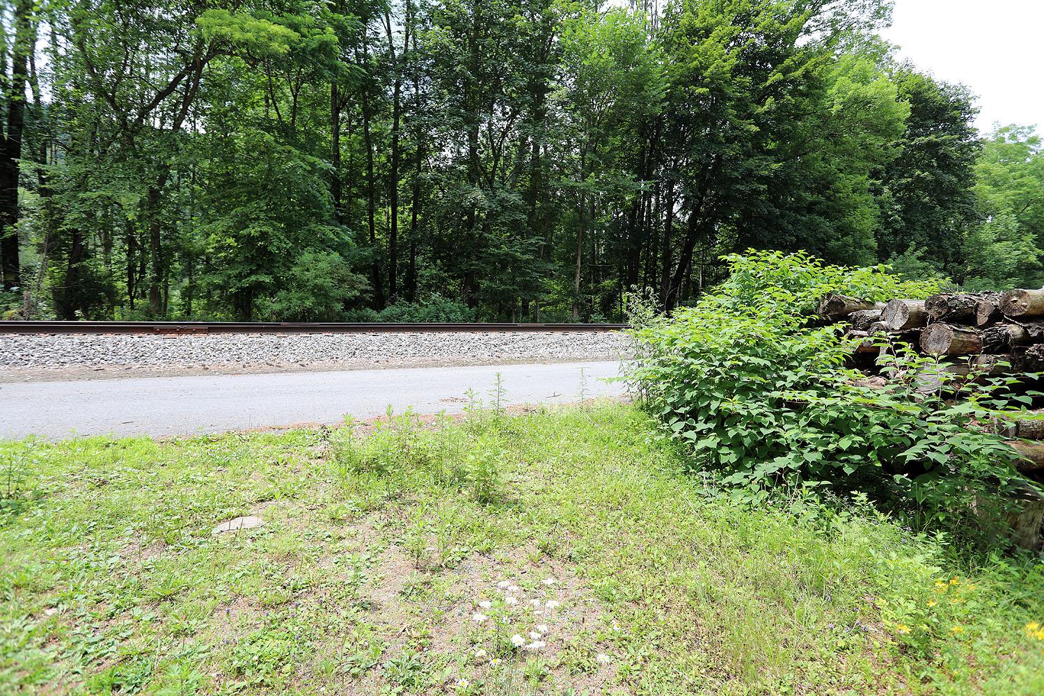 #7 photo, Railroad Avenue, Long Eddy , NY 