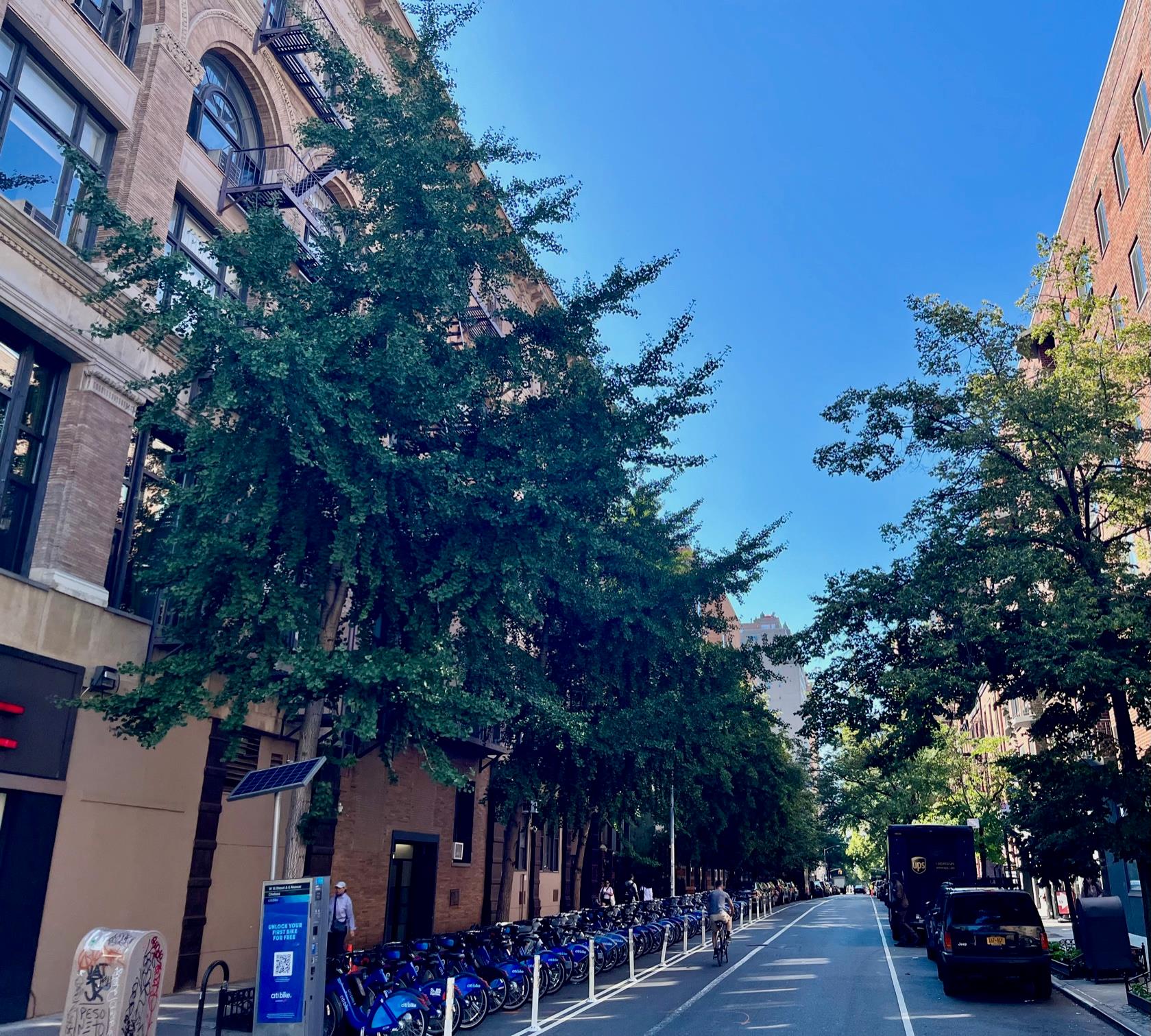 #15 photo, 100 W 15TH Street, マンハッタン Chelsea , NY 10011