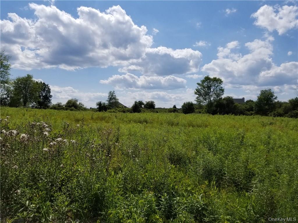 #9 photo, Route 55, Lagrangeville , NY 12540