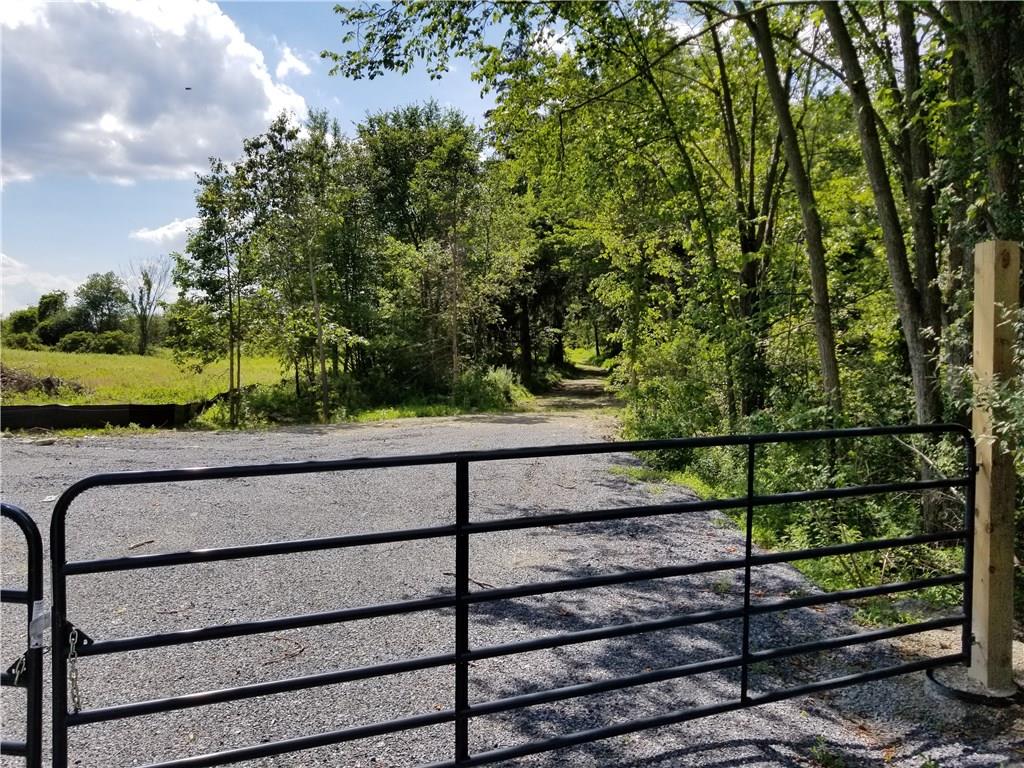 #2 photo, Route 55, Lagrangeville , NY 12540