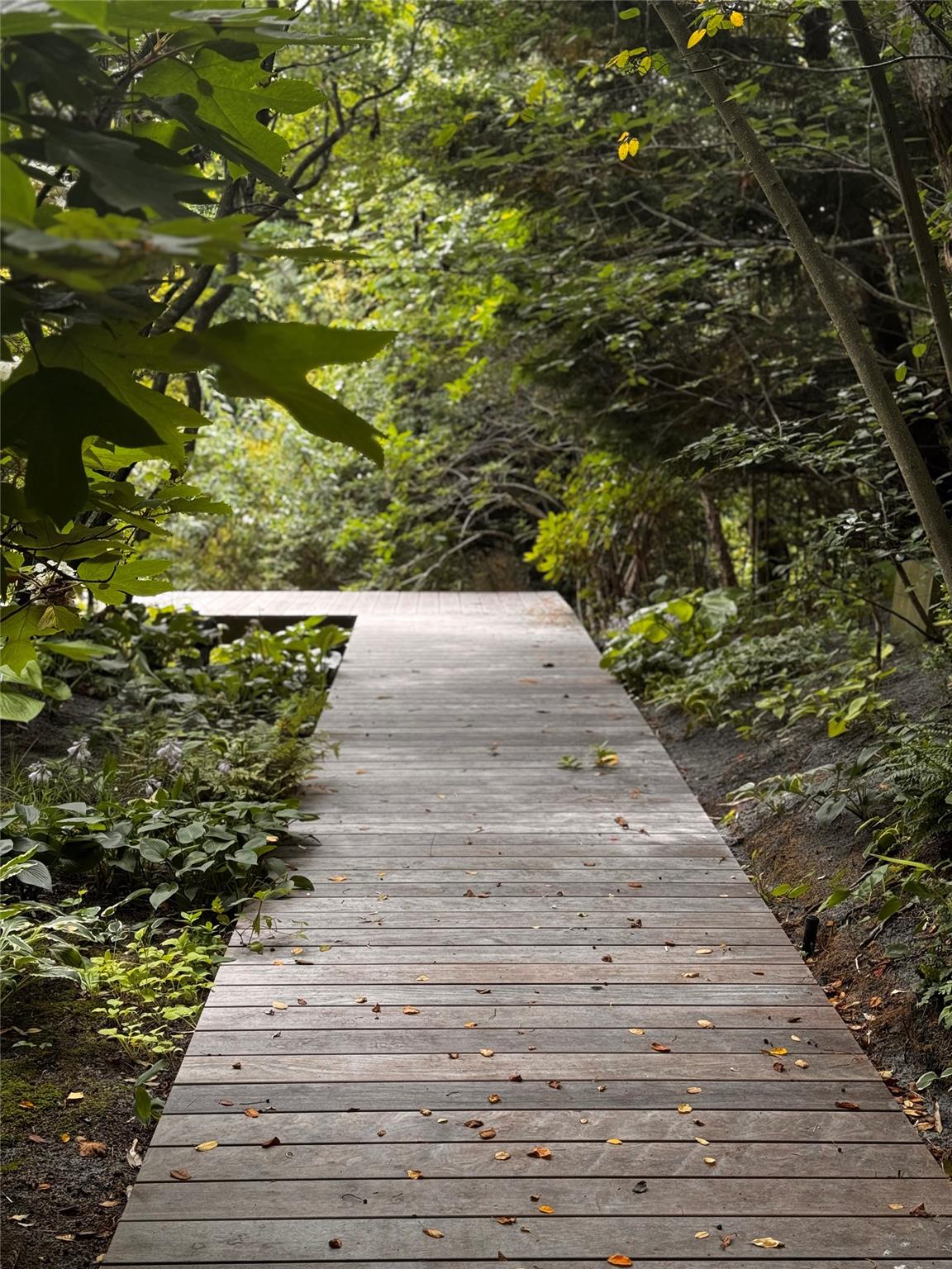 #3 photo, 487 Tarpon Walk, サフォーク郡 Fire Island Pines , NY 11782