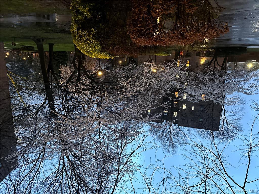 #11 photo, 15040 71st Avenue, クイーンズ区 Kew Garden Hills , NY 11367